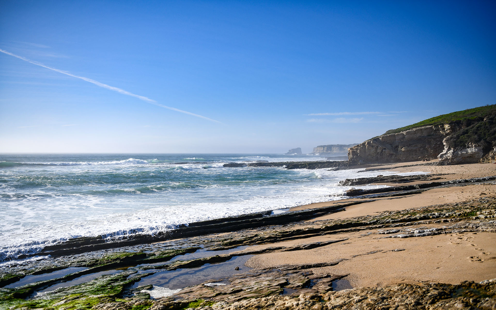 2020.02_Laguna-Creek-Beach_Coast-Dairies-State-Park_California_USA_07