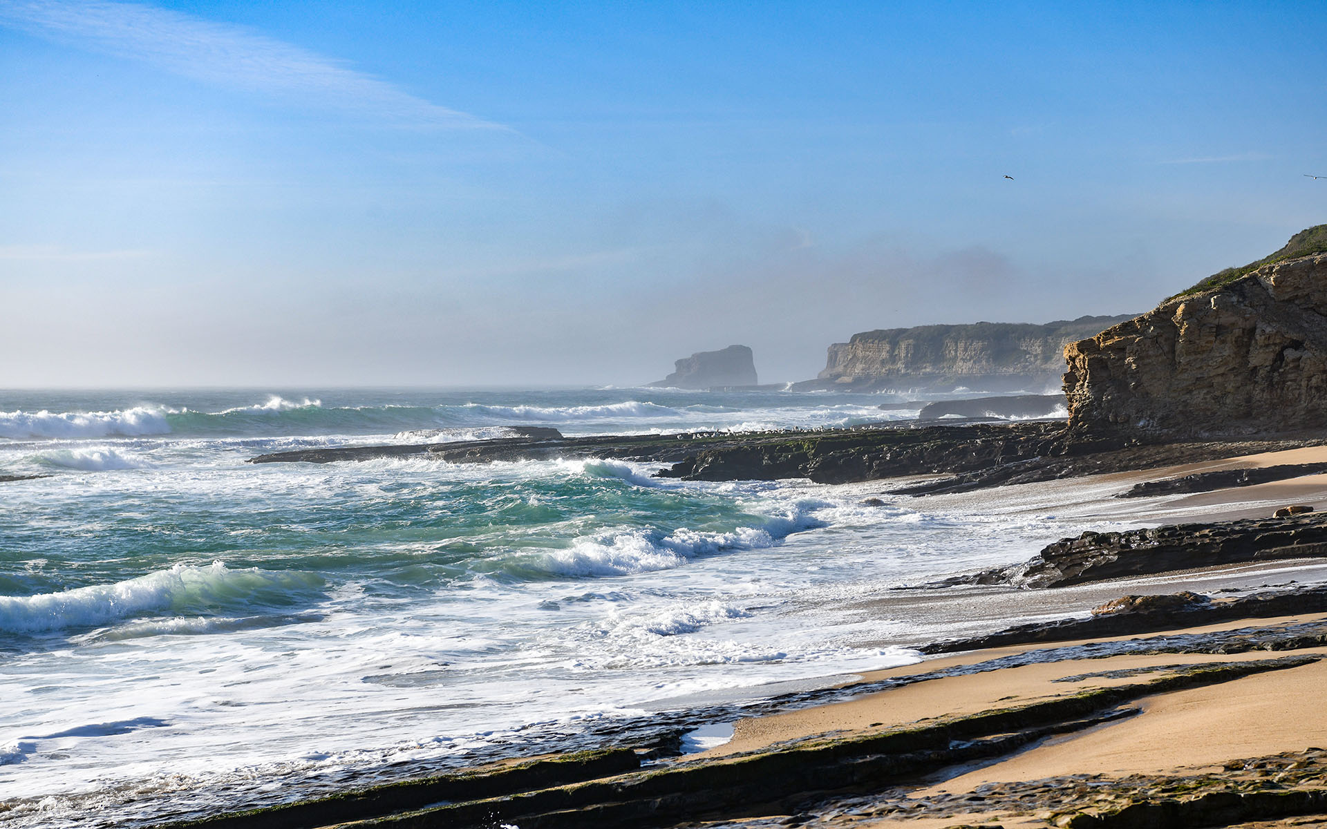 2020.02_Laguna-Creek-Beach_Coast-Dairies-State-Park_California_USA_09