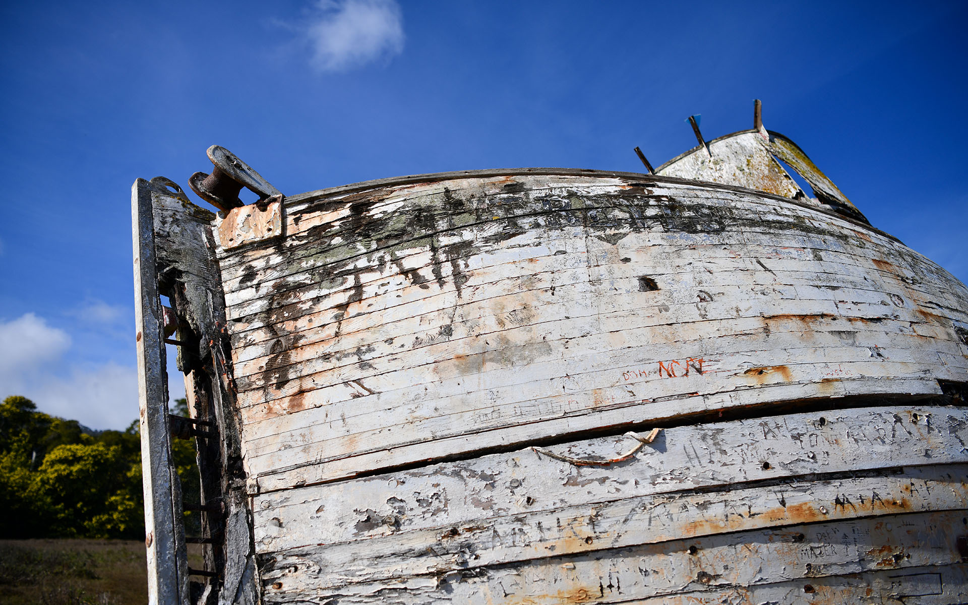 2020.02_Point-Reyes-Shipwrecks_Point-Reyes-National-Seashore_California_USA_04