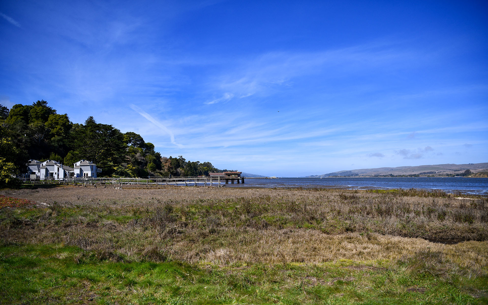 2020.02_Point-Reyes-Shipwrecks_Point-Reyes-National-Seashore_California_USA_05