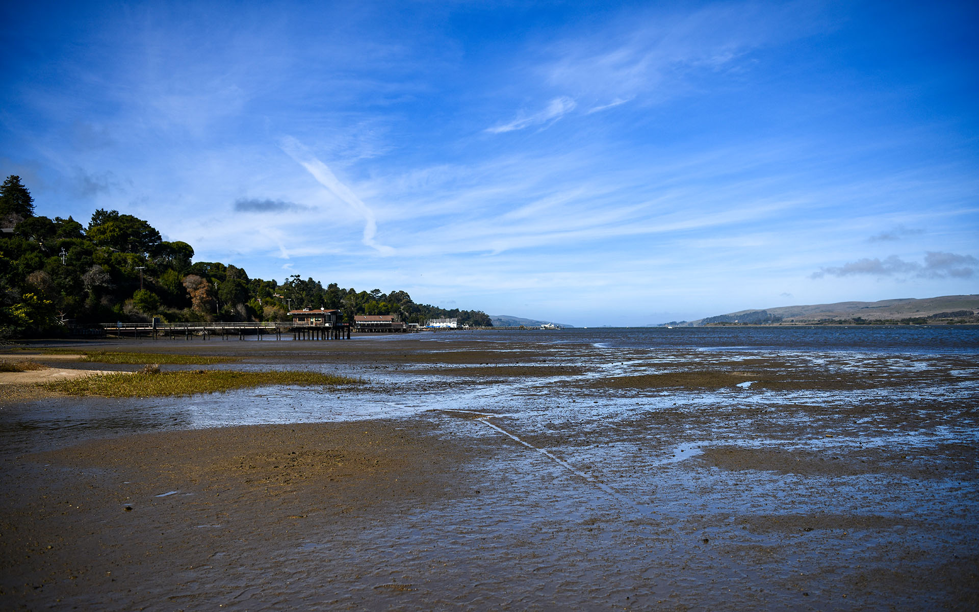 2020.02_Point-Reyes-Shipwrecks_Point-Reyes-National-Seashore_California_USA_06