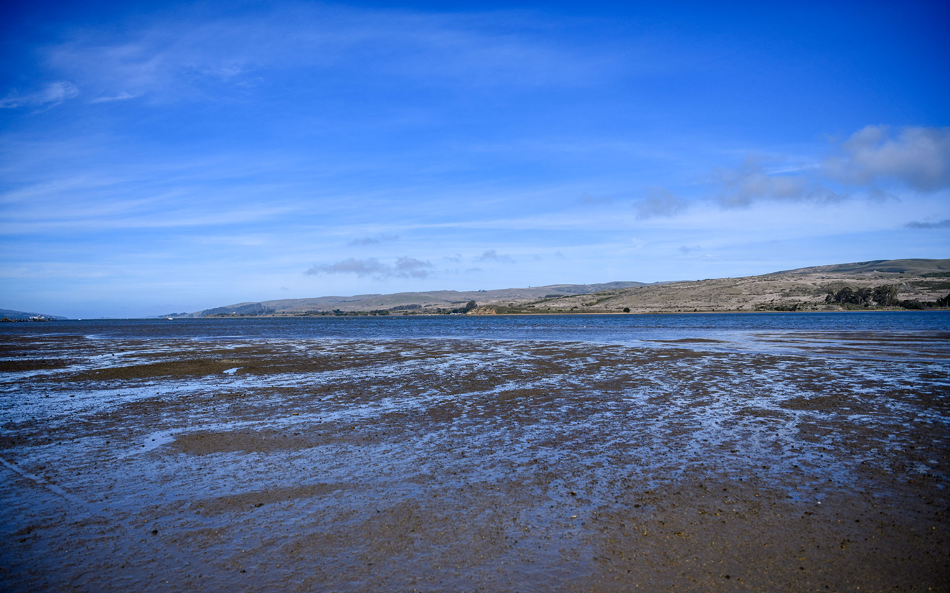 2020.02_Point-Reyes-Shipwrecks_Point-Reyes-National-Seashore_California_USA_07