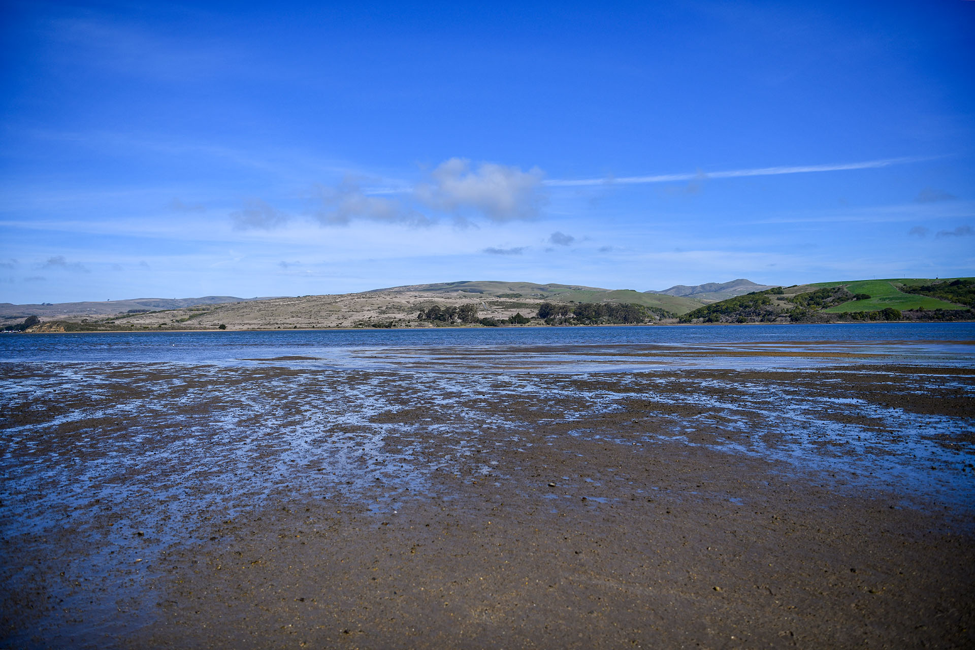 2020.02_Point-Reyes-Shipwrecks_Point-Reyes-National-Seashore_California_USA_08