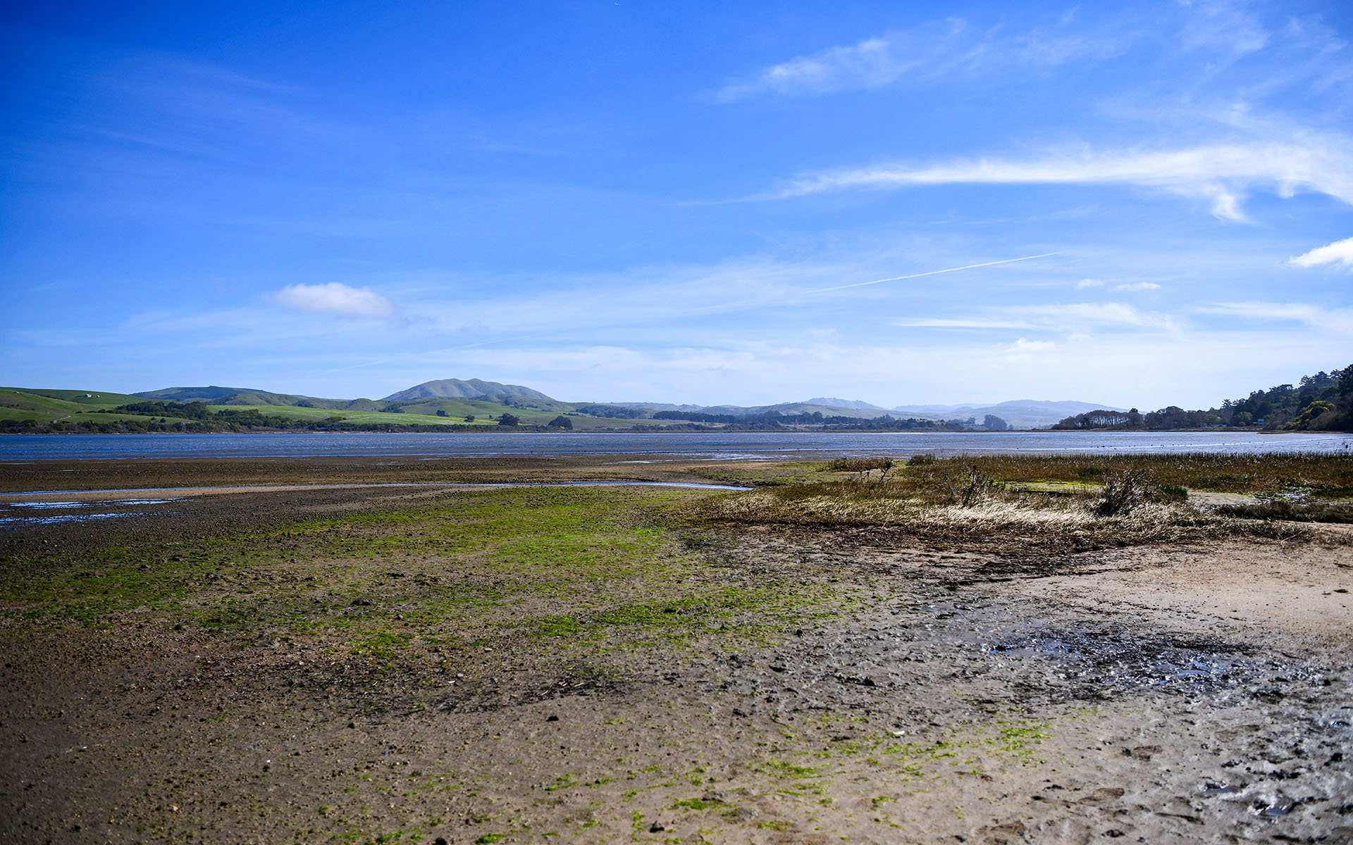 2020.02_Point-Reyes-Shipwrecks_Point-Reyes-National-Seashore_California_USA_09