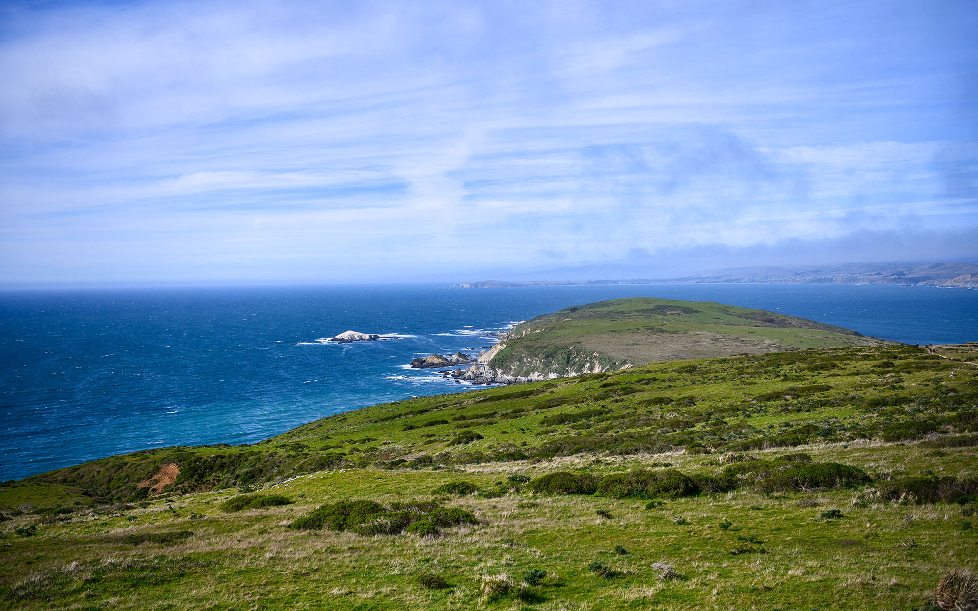 2020.02_Tomales-Point-Trail_Point-Reyes-National-Seashore_California_USA_05