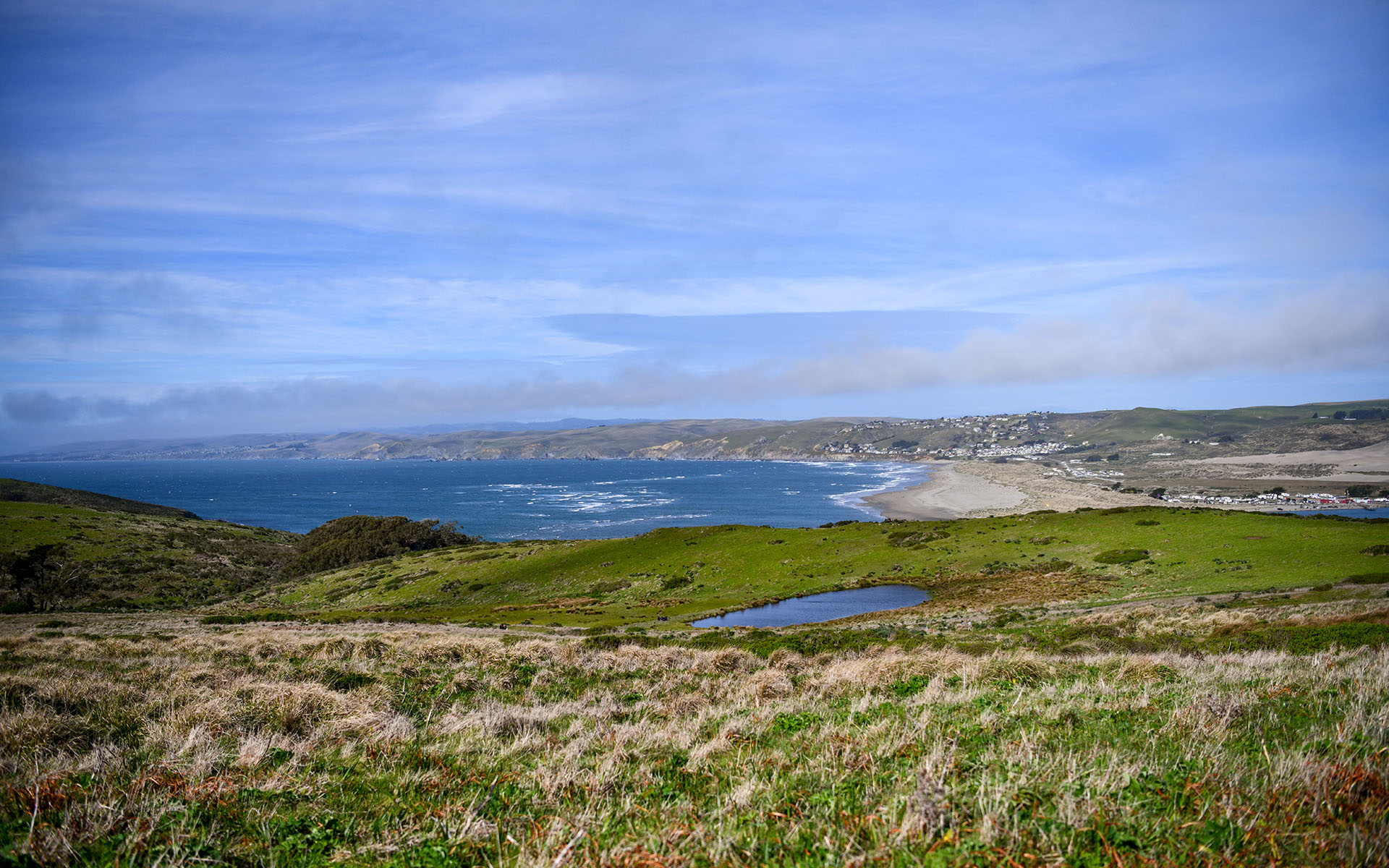 2020.02_Tomales-Point-Trail_Point-Reyes-National-Seashore_California_USA_06