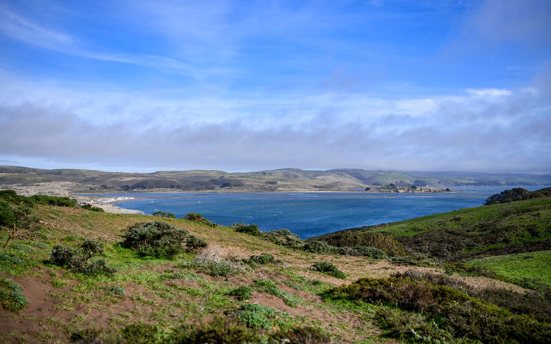 2020.02_Tomales-Point-Trail_Point-Reyes-National-Seashore_California_USA_07