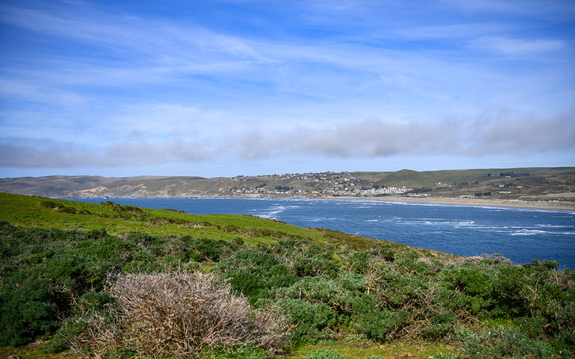 2020.02_Tomales-Point-Trail_Point-Reyes-National-Seashore_California_USA_08