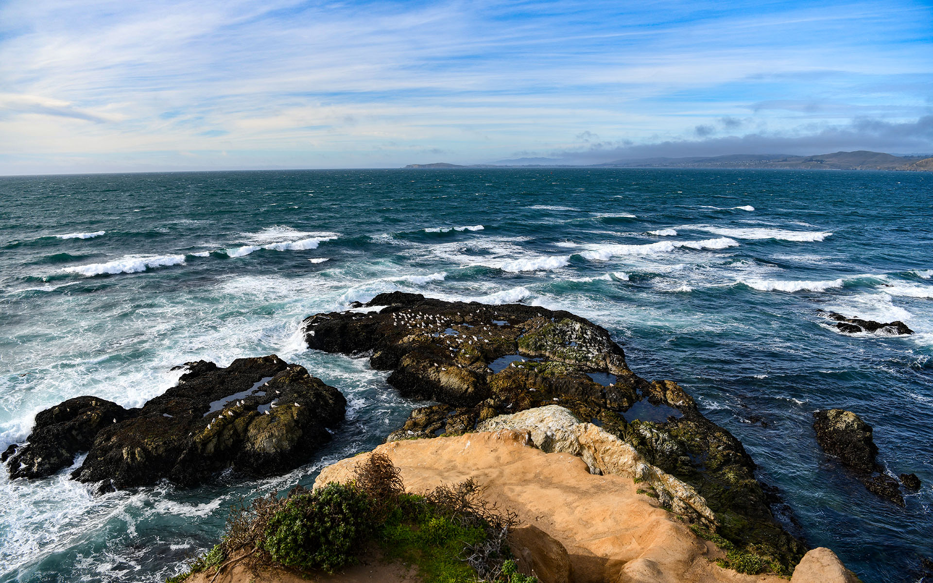 2020.02_Tomales-Point_Point-Reyes-National-Seashore_California_USA_05
