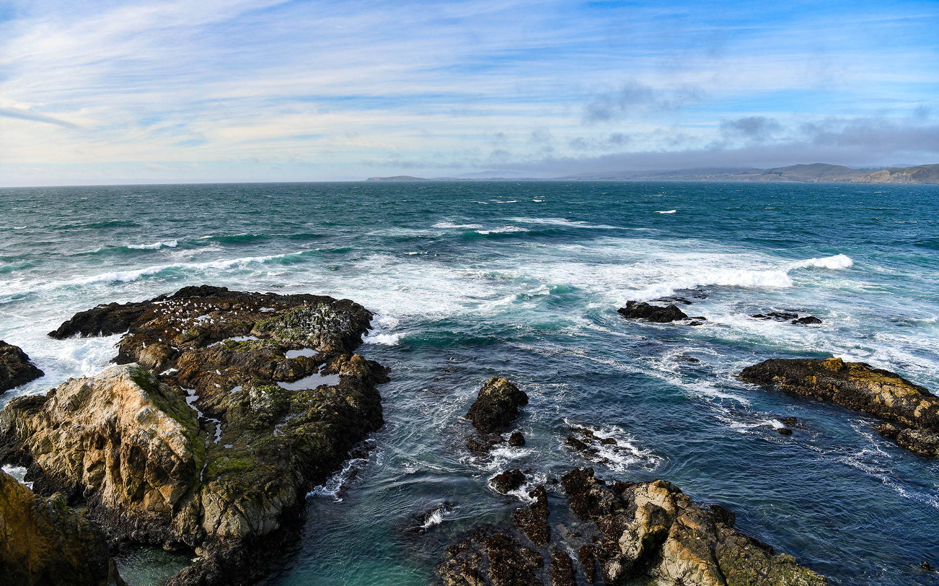 2020.02_Tomales-Point_Point-Reyes-National-Seashore_California_USA_07