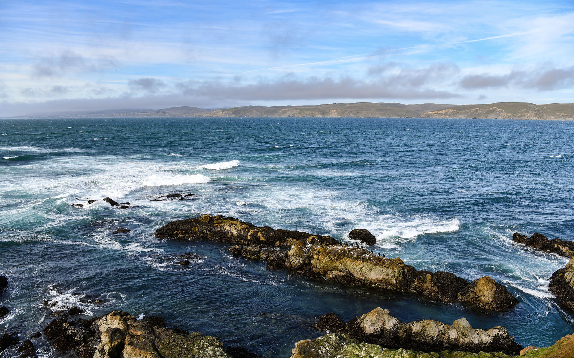2020.02_Tomales-Point_Point-Reyes-National-Seashore_California_USA_08
