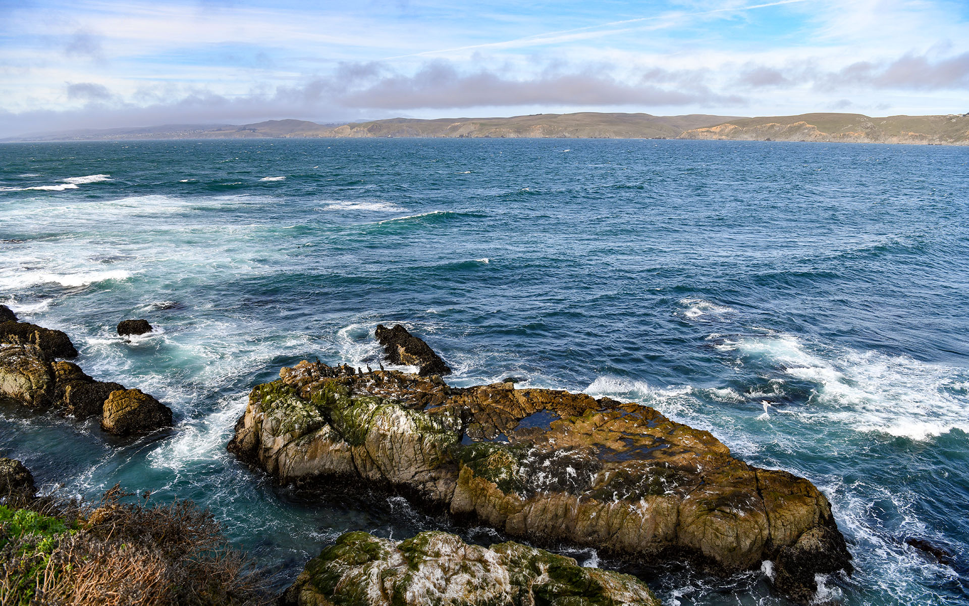 2020.02_Tomales-Point_Point-Reyes-National-Seashore_California_USA_09