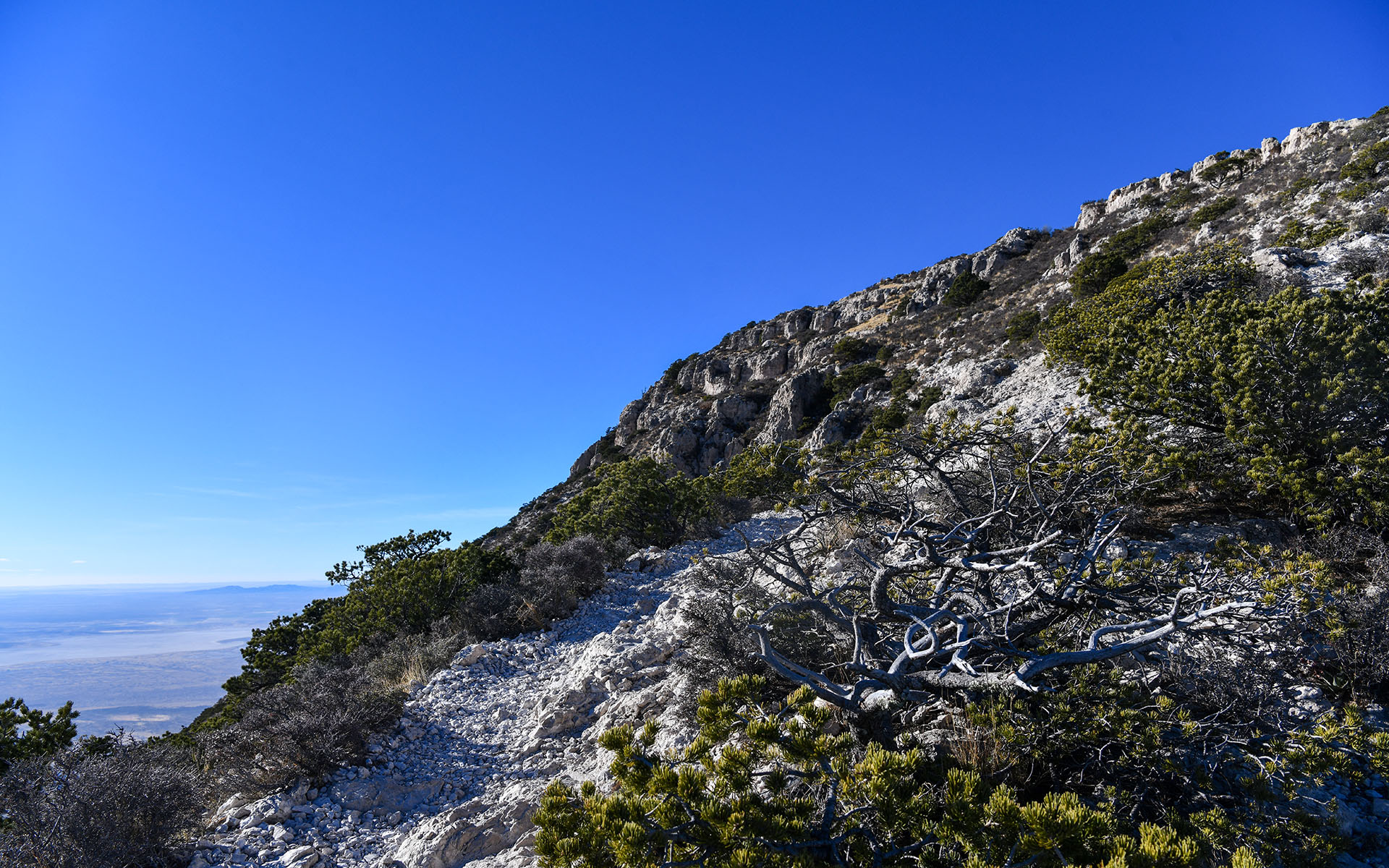 2021.12_Guadalupe-Peak-Trail_Guadalupe-Mountains-National-Park_Texas_USA_06