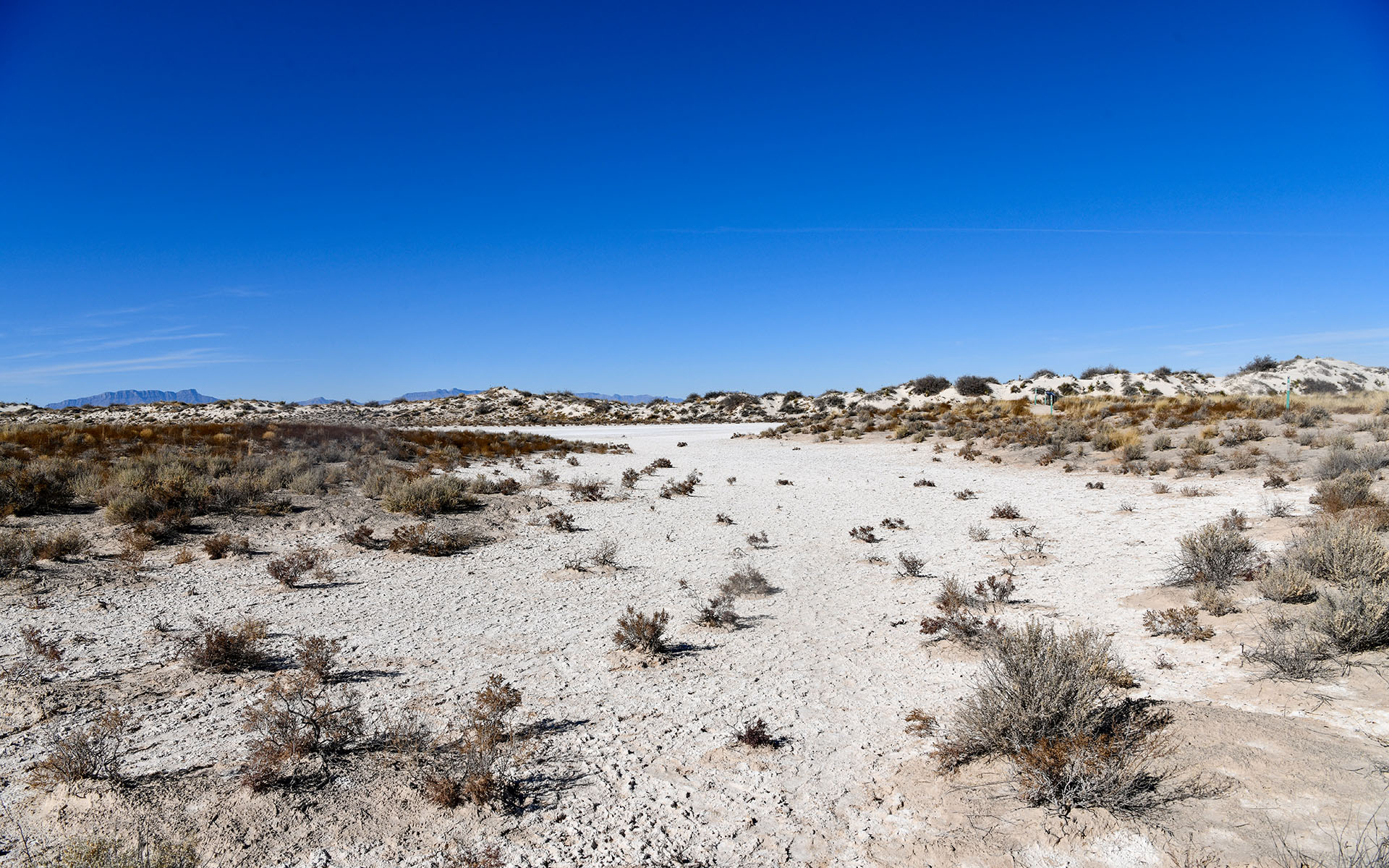 2021.12_Playa-Trail_White-Sands-National-Park_New-Mexico_USA_04