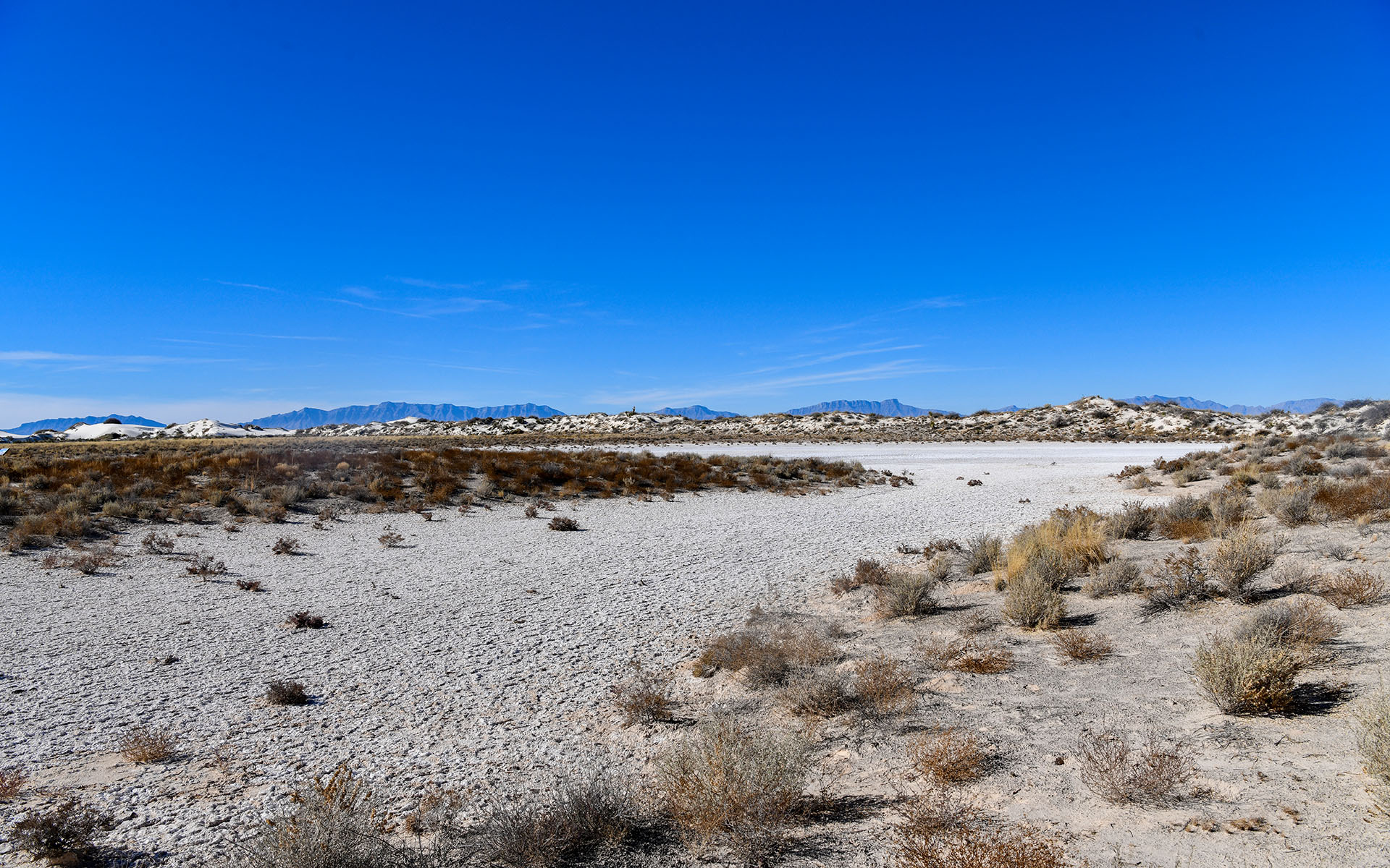 2021.12_Playa-Trail_White-Sands-National-Park_New-Mexico_USA_05