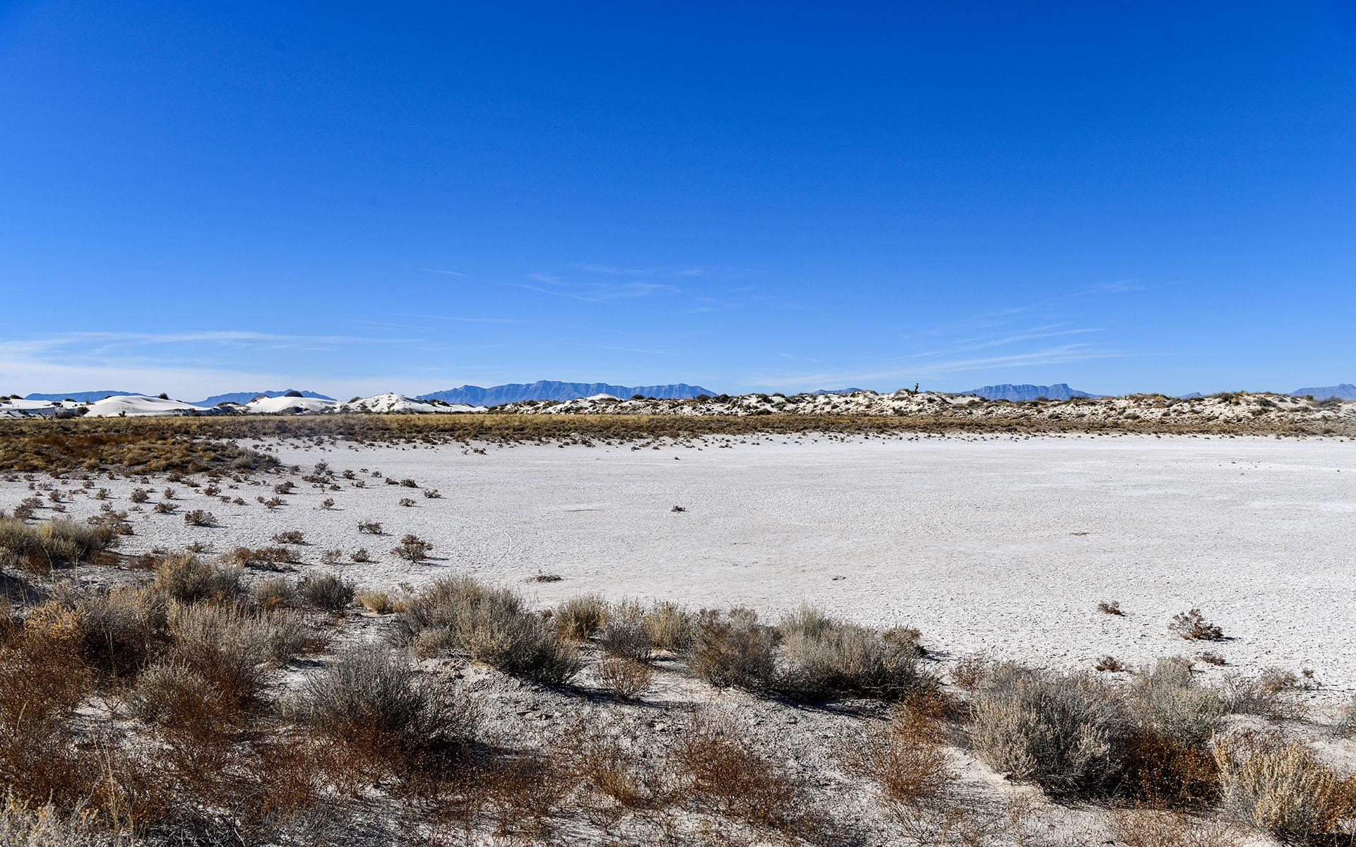 2021.12_Playa-Trail_White-Sands-National-Park_New-Mexico_USA_07