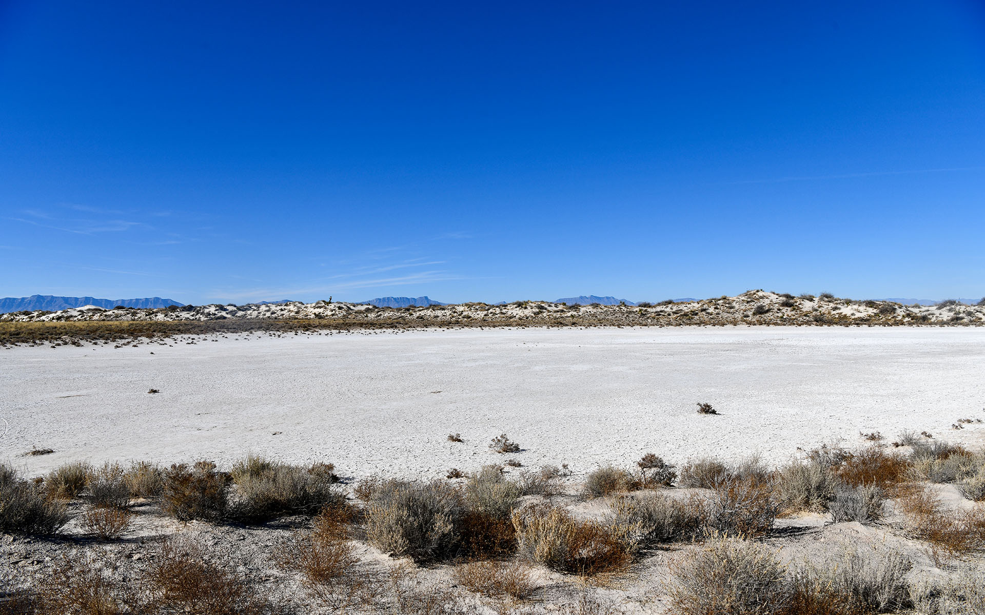 2021.12_Playa-Trail_White-Sands-National-Park_New-Mexico_USA_08