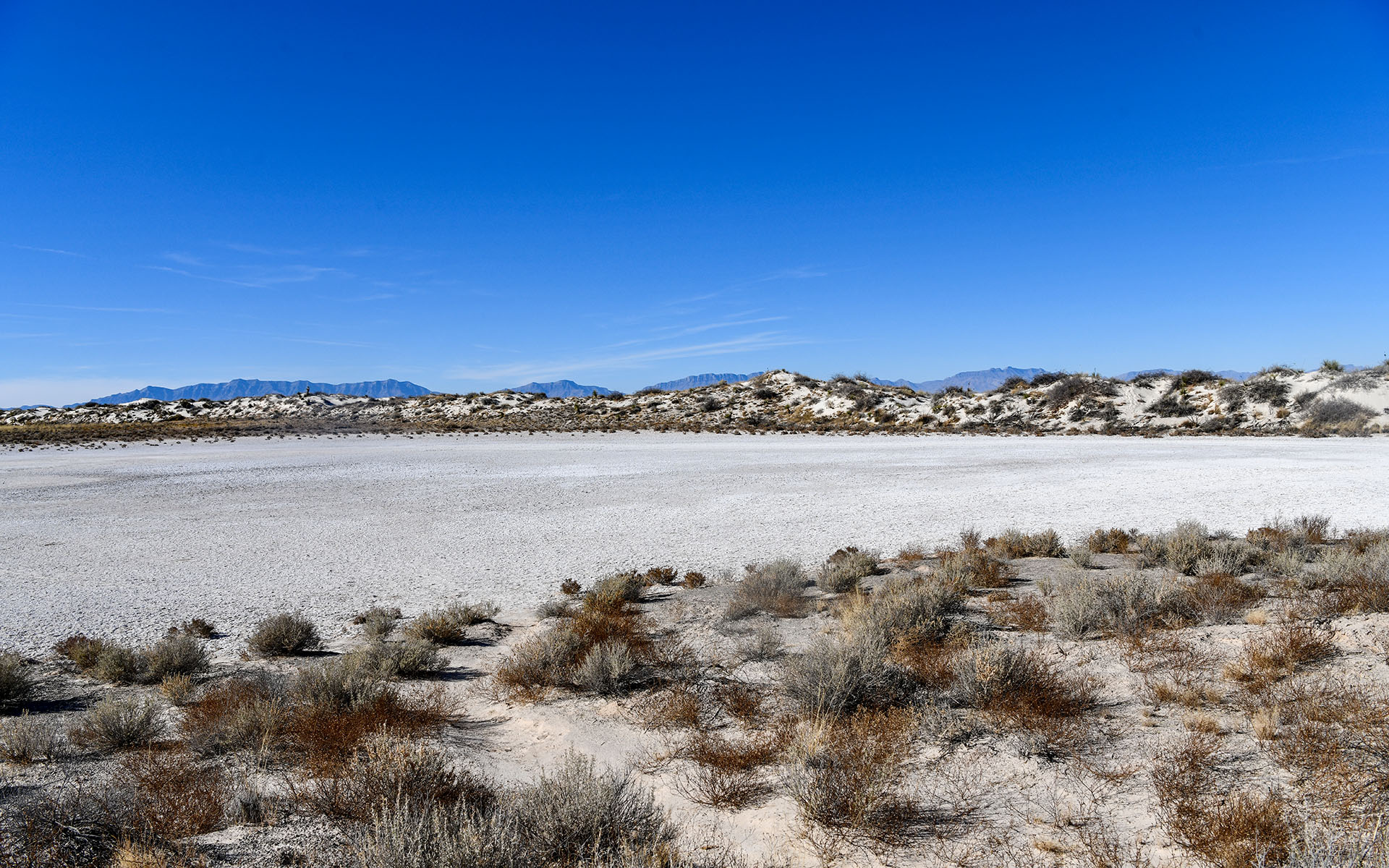 2021.12_Playa-Trail_White-Sands-National-Park_New-Mexico_USA_09