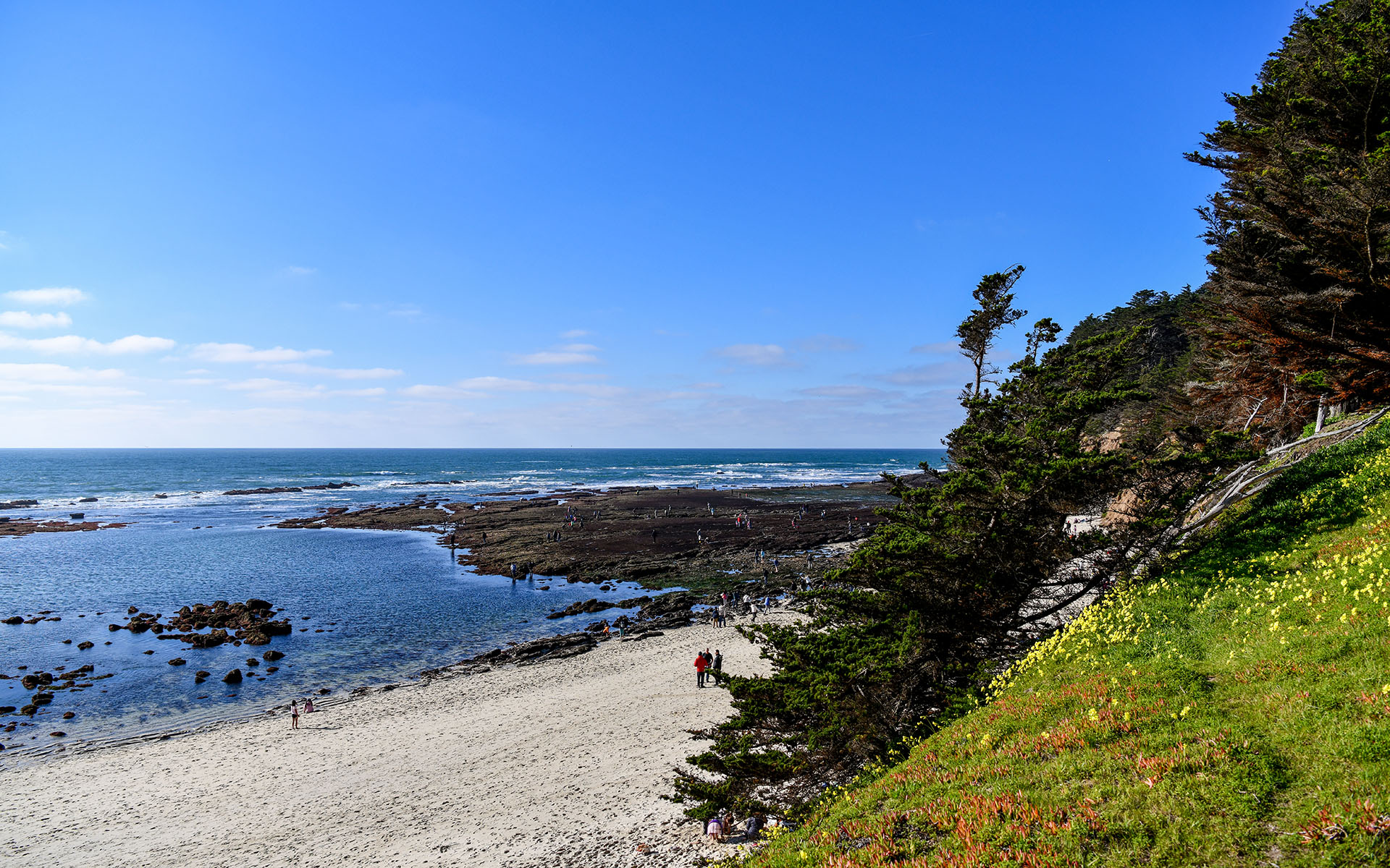 2022.02_Moss-Beach_Moss-Beach_California_USA_02