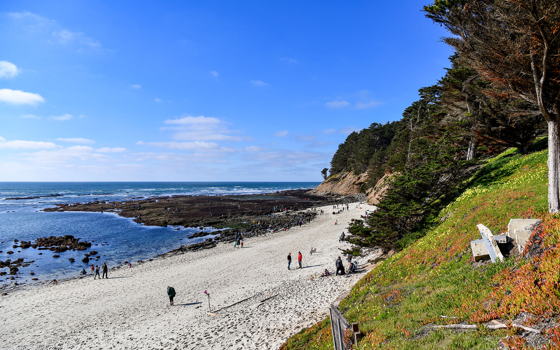 2022.02_Moss-Beach_Moss-Beach_California_USA_04