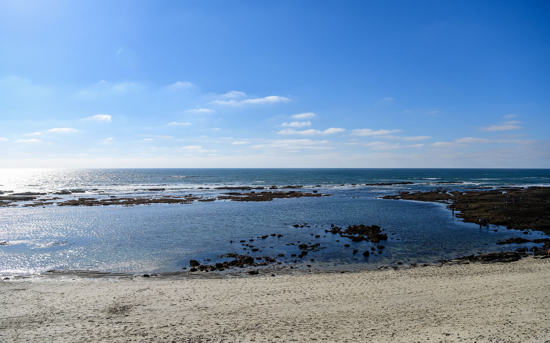 2022.02_Moss-Beach_Moss-Beach_California_USA_06
