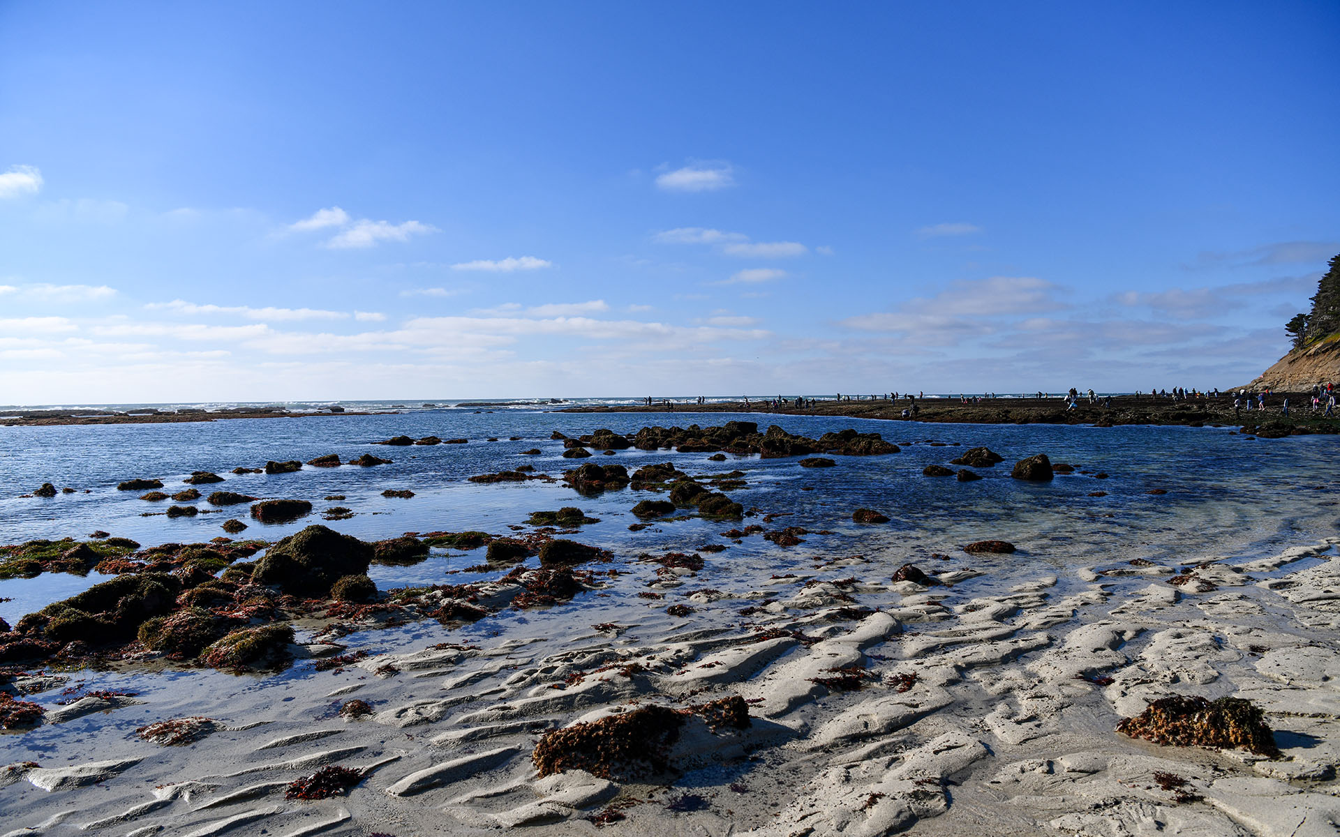 2022.02_Moss-Beach_Moss-Beach_California_USA_07