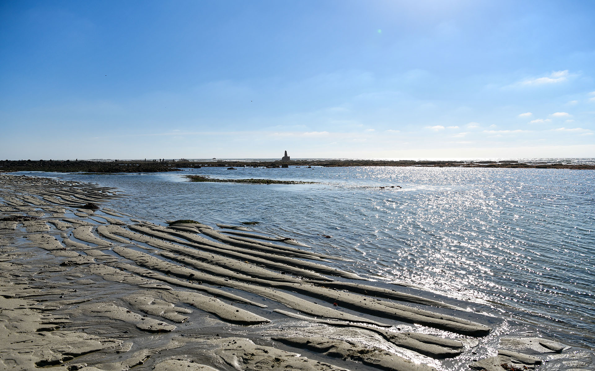 2022.02_Moss-Beach_Moss-Beach_California_USA_08