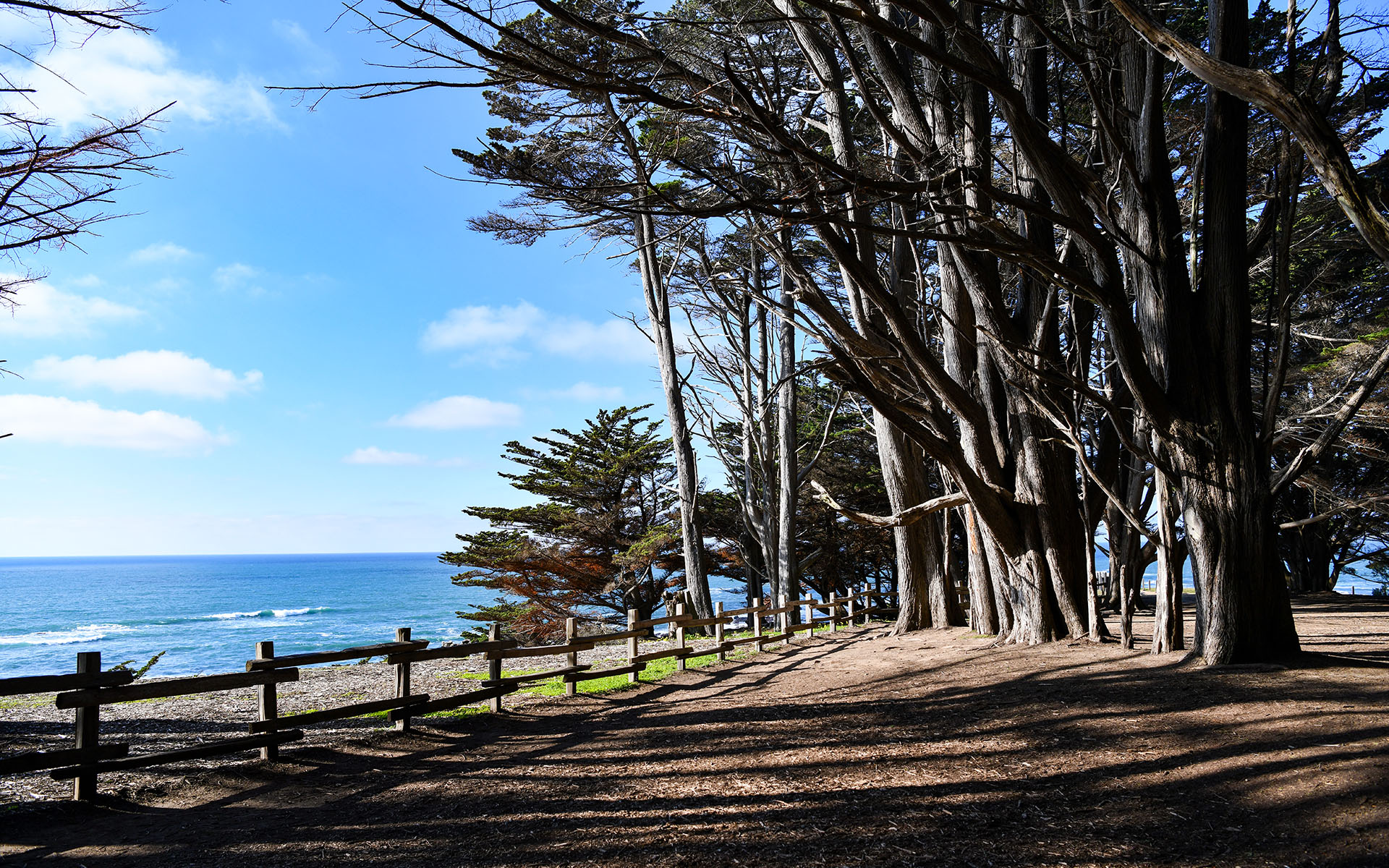 2022.02 Seal Cove Cypress Tree Tunnel, Moss Beach, California, USA