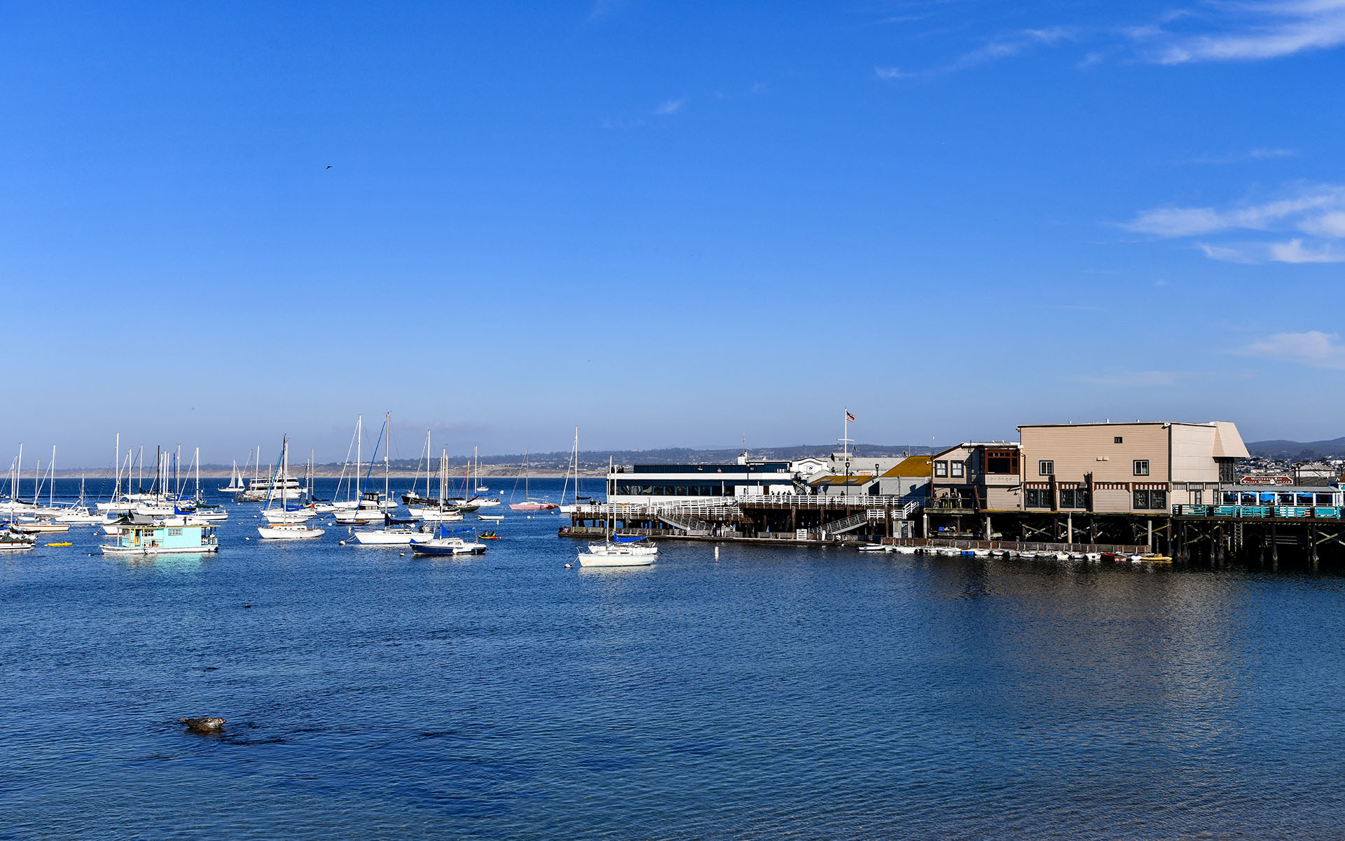 2022.02_Sister-City-Park_Monterey_California_USA_05
