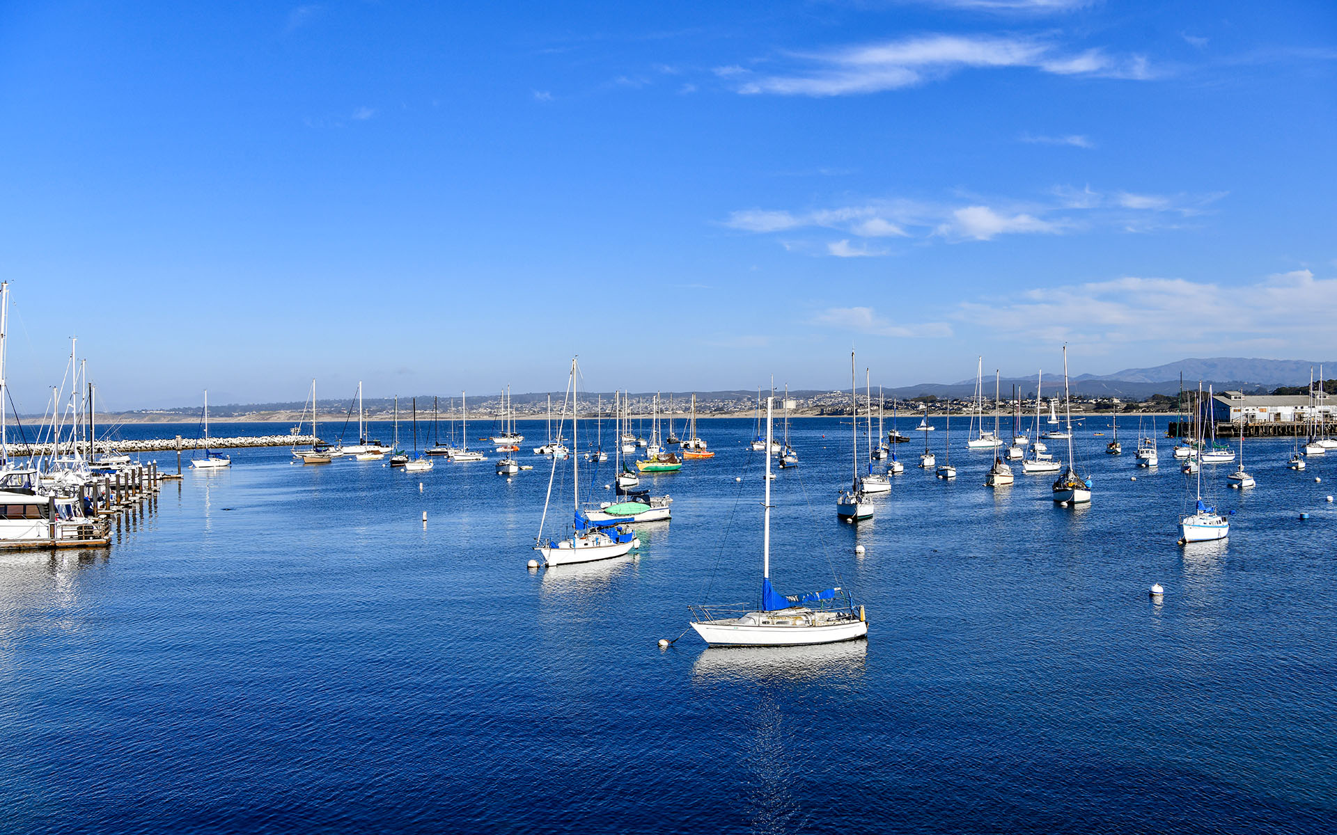 2022.02_Sister-City-Park_Monterey_California_USA_06