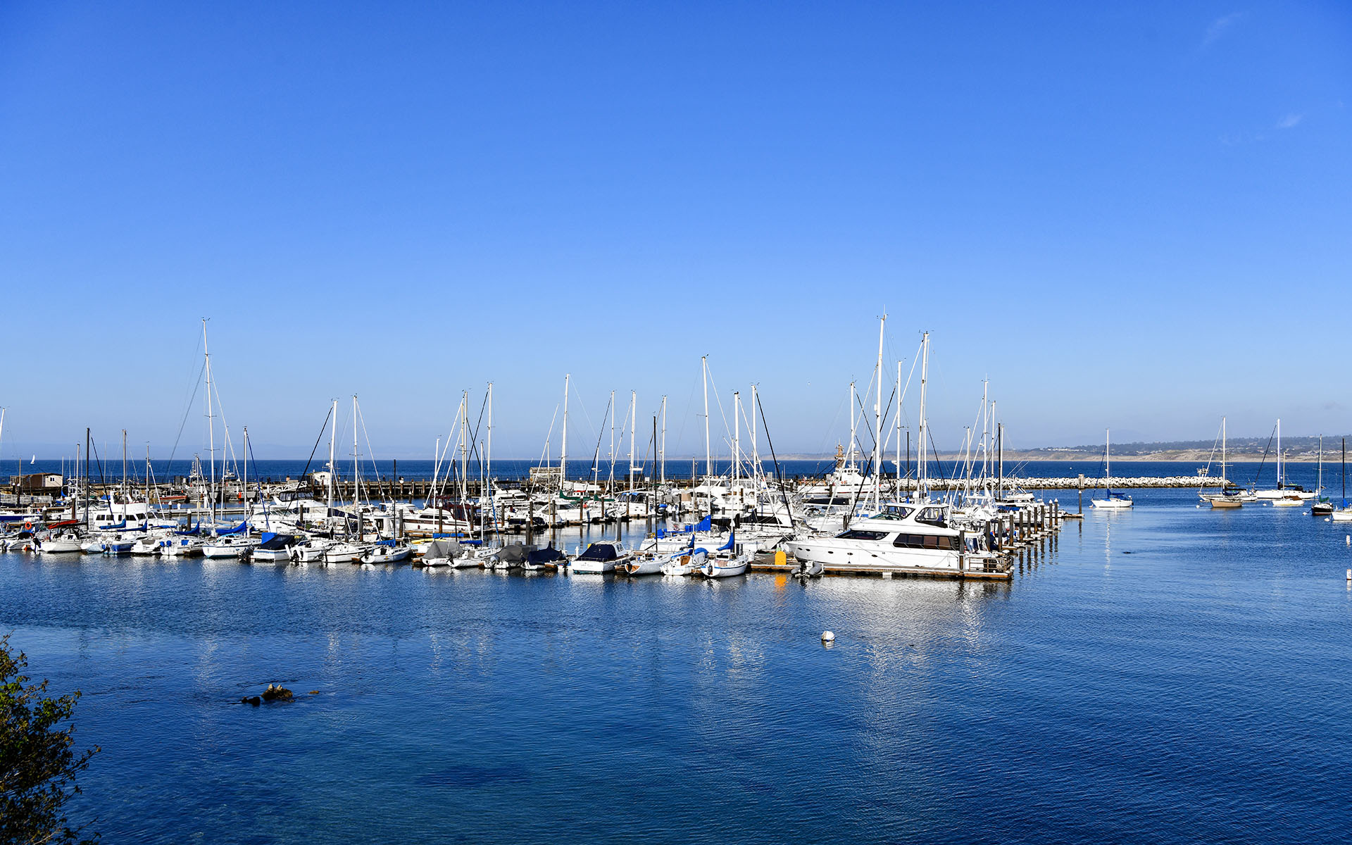 2022.02_Sister-City-Park_Monterey_California_USA_07