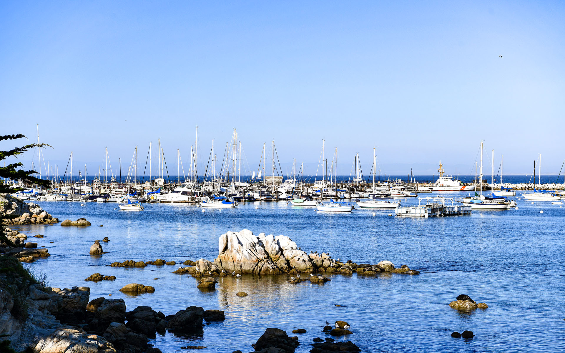 2022.02_Sister-City-Park_Monterey_California_USA_08