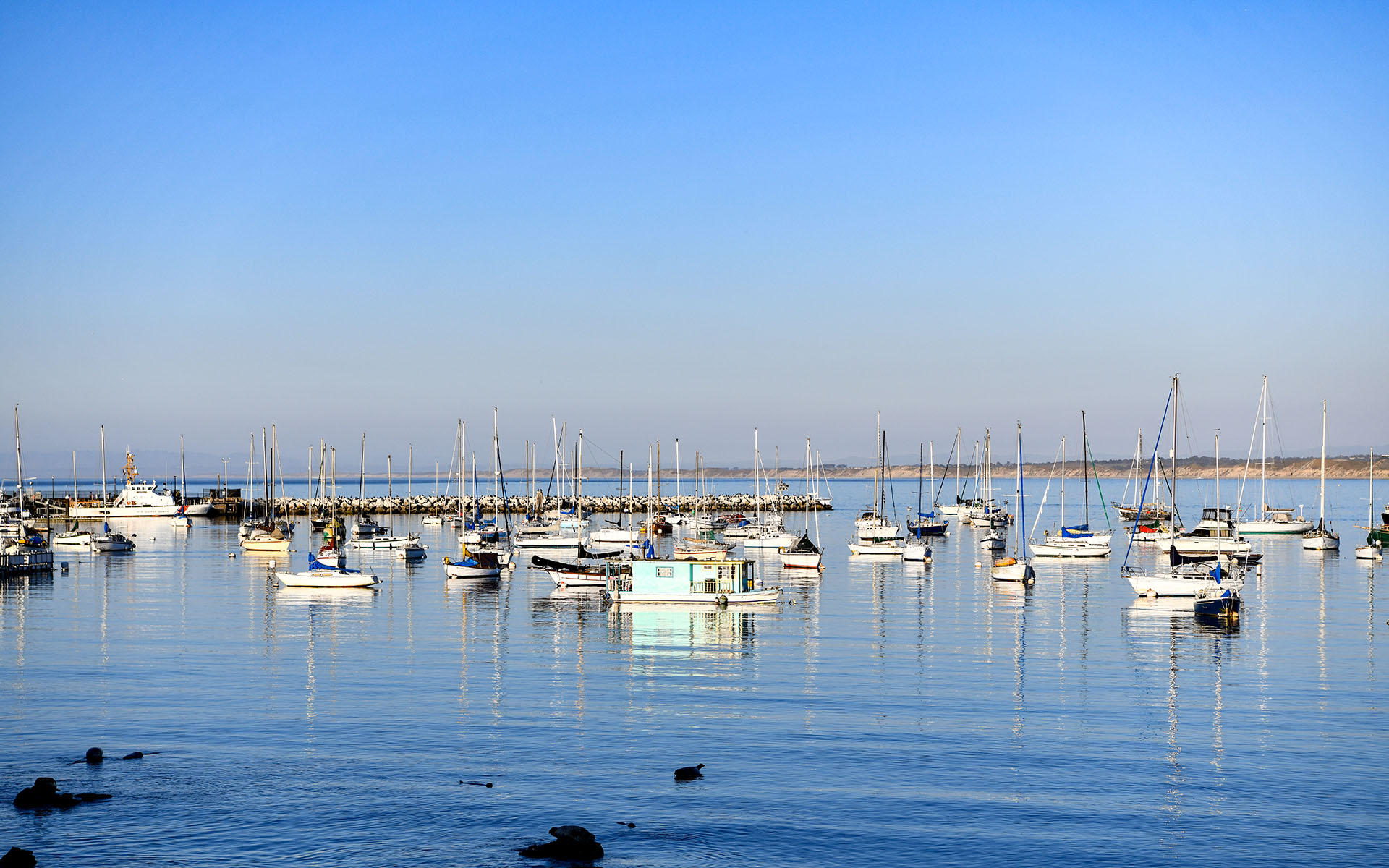 2022.02_Sister-City-Park_Monterey_California_USA_09