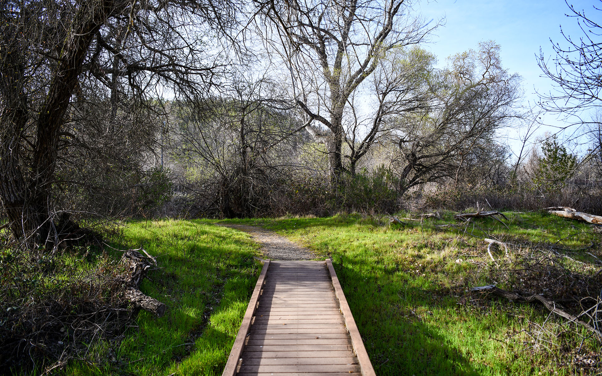 2022.03_Clear-Lake-State-Park_California_USA_01
