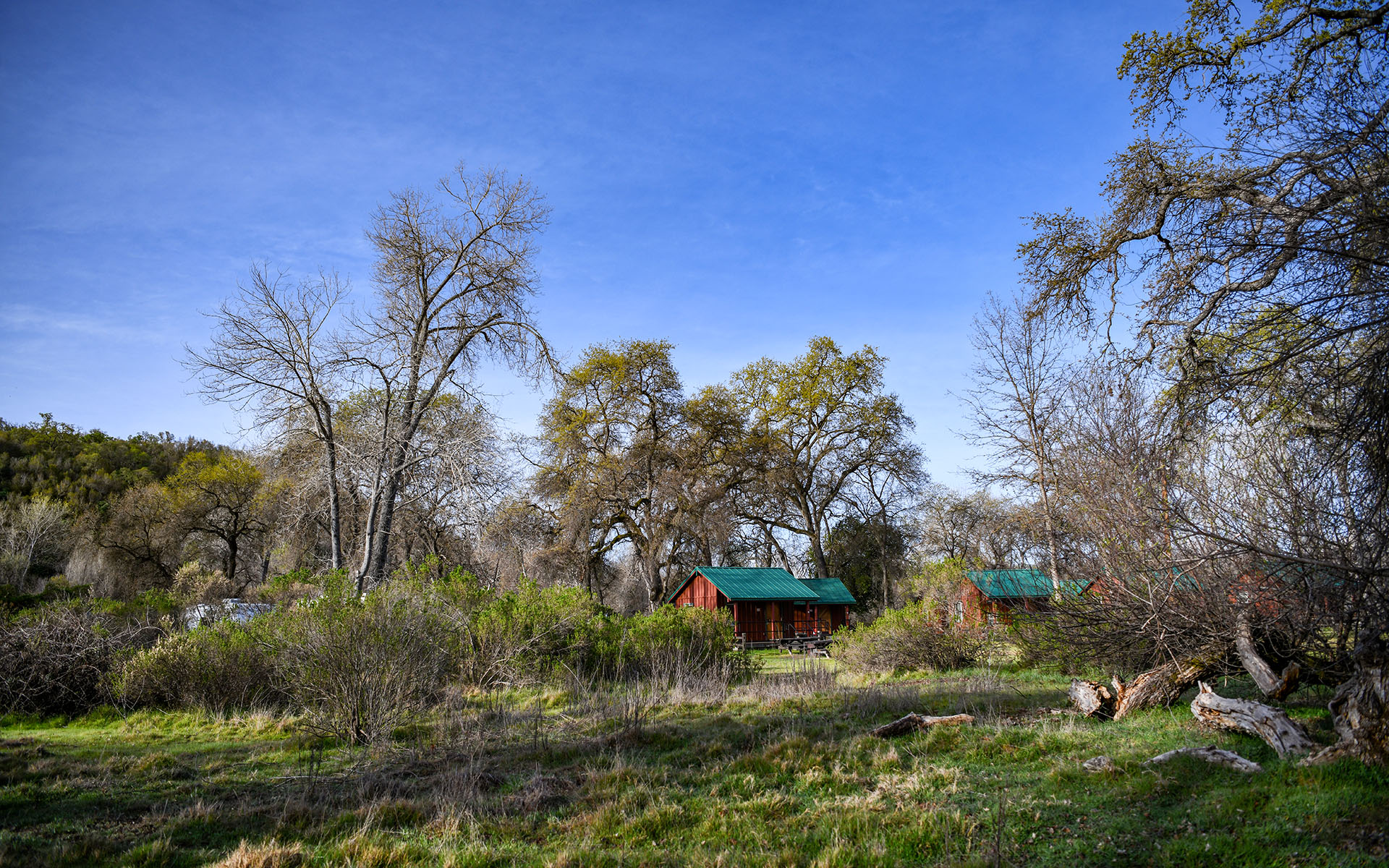 2022.03_Clear-Lake-State-Park_California_USA_02