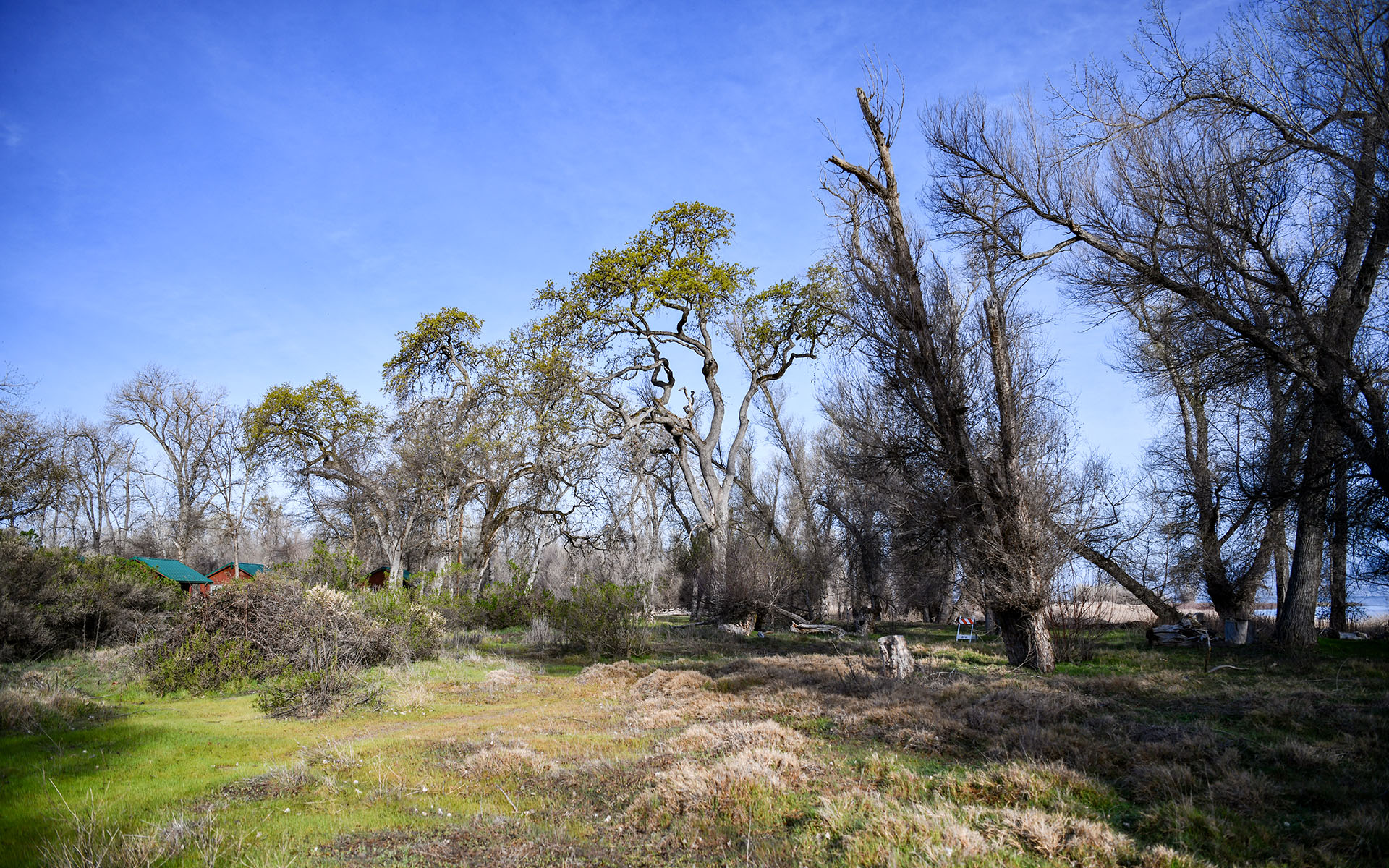 2022.03_Clear-Lake-State-Park_California_USA_03