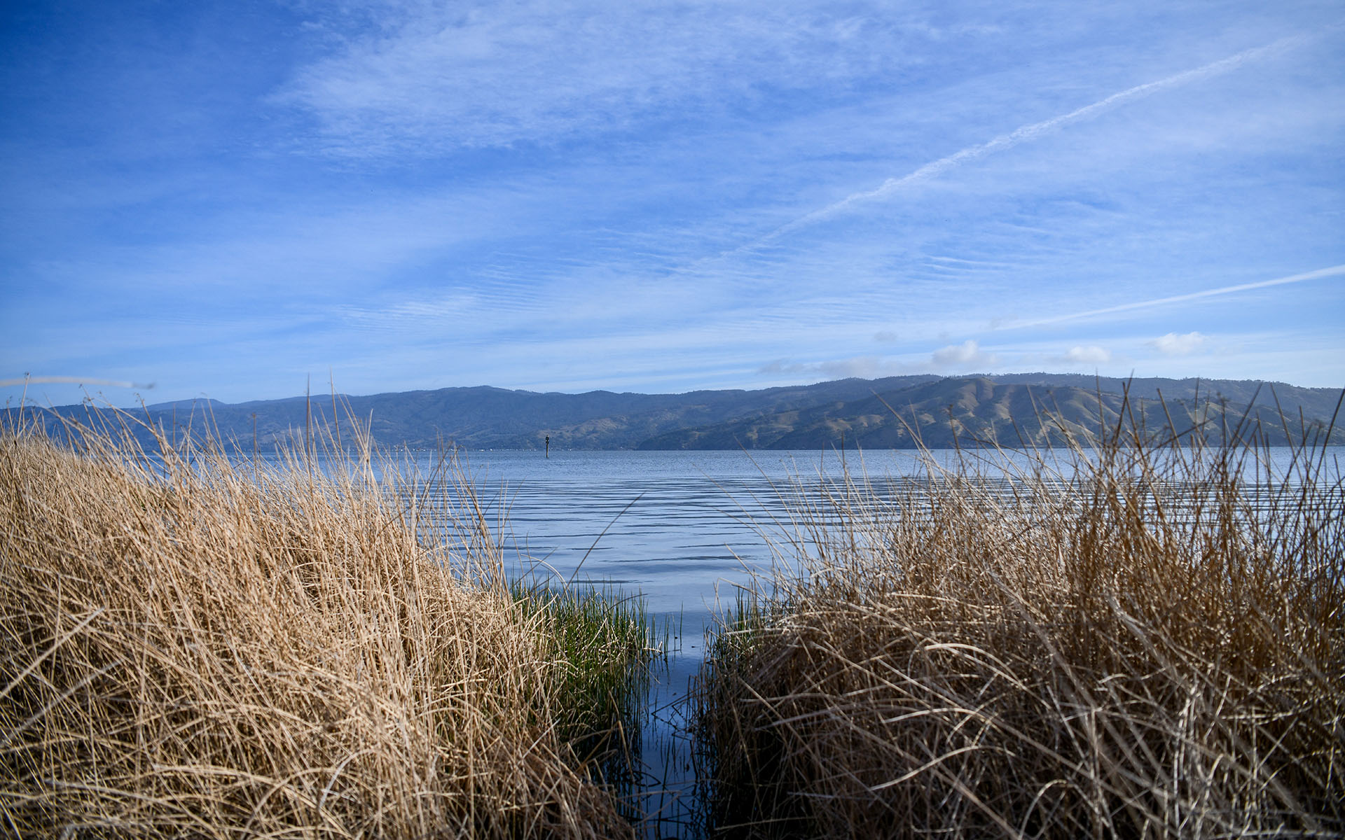 2022.03_Clear-Lake-State-Park_California_USA_04