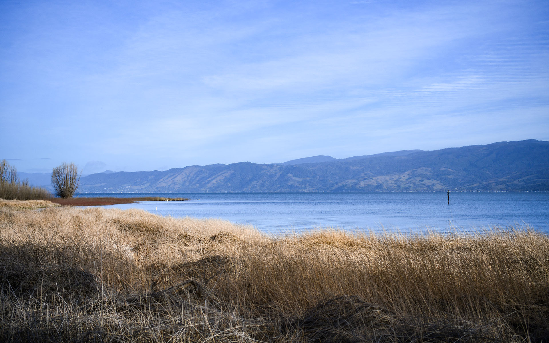 2022.03_Clear-Lake-State-Park_California_USA_05
