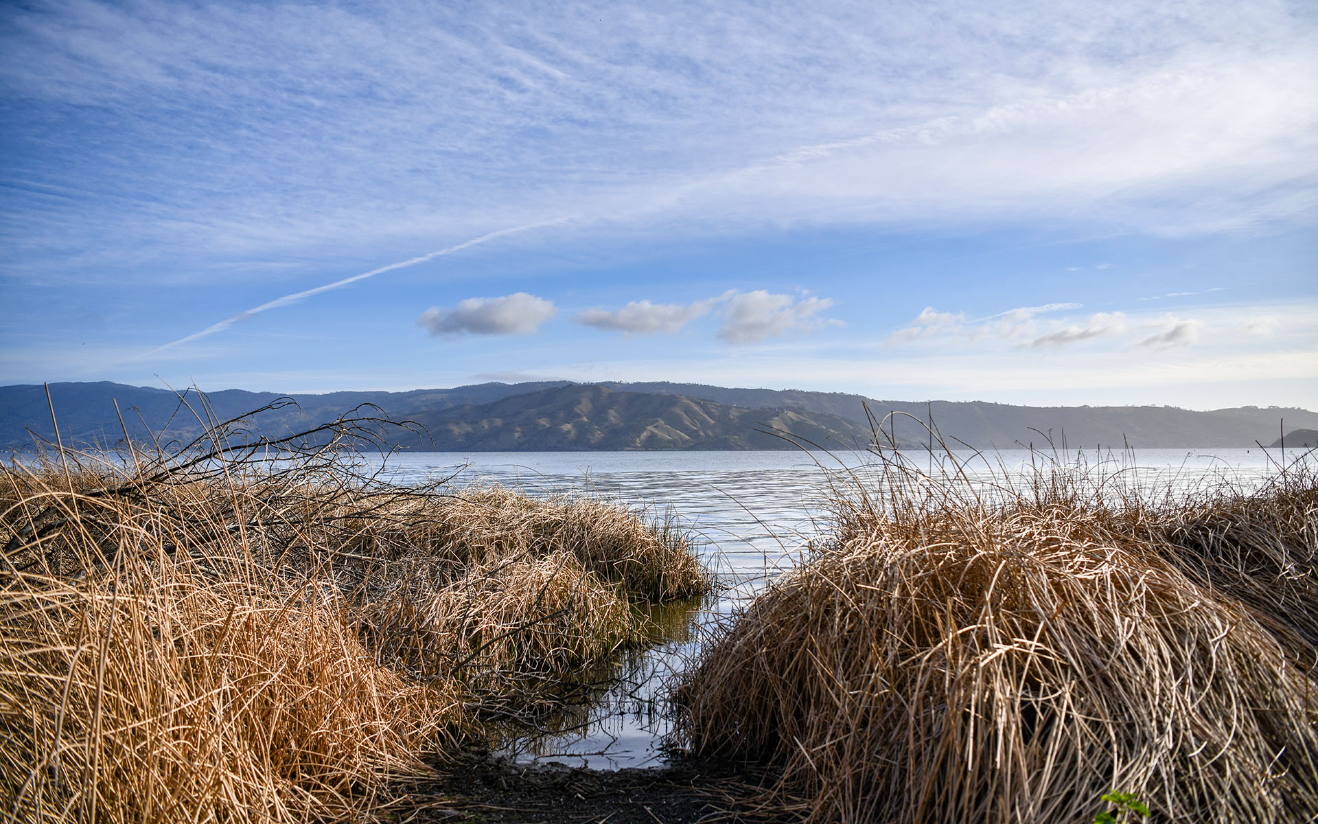 2022.03_Clear-Lake-State-Park_California_USA_08