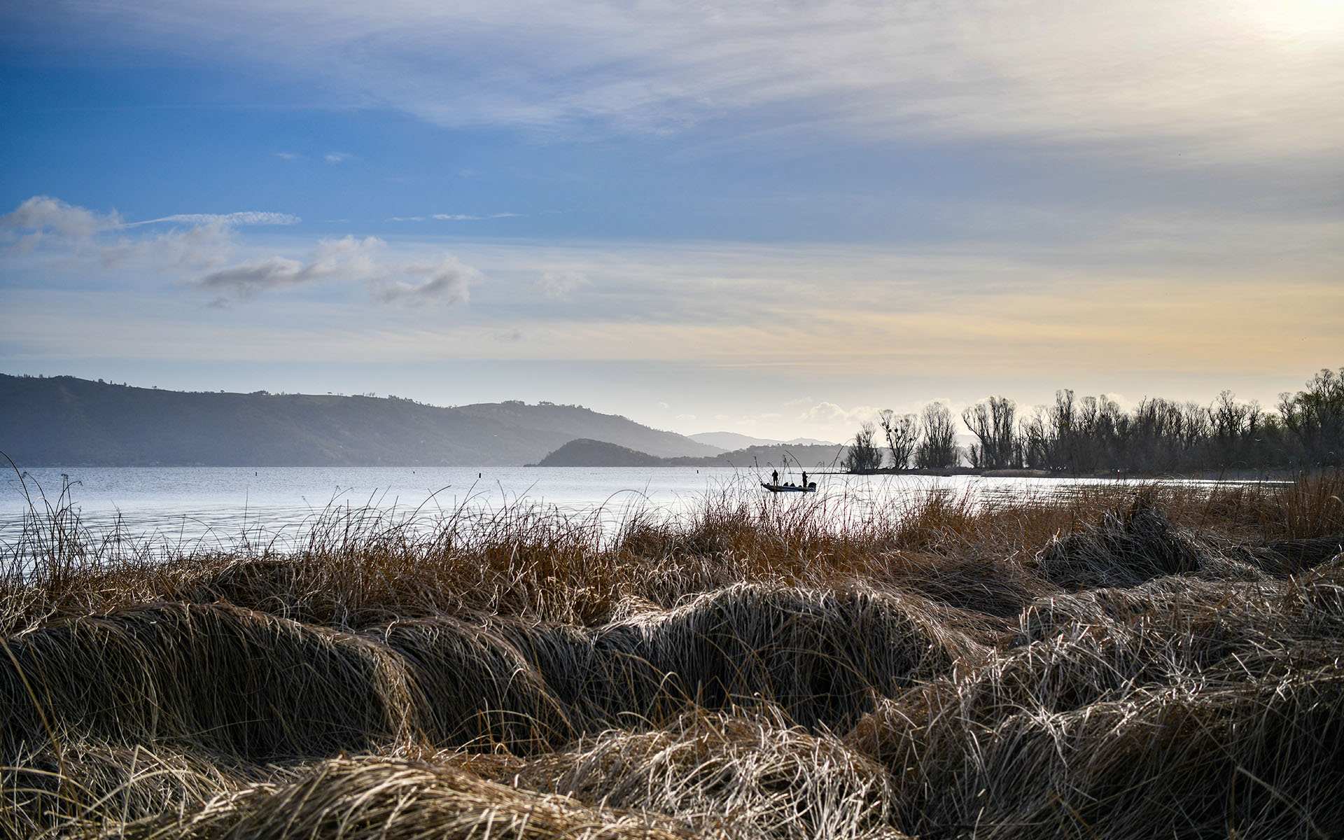 2022.03_Clear-Lake-State-Park_California_USA_09