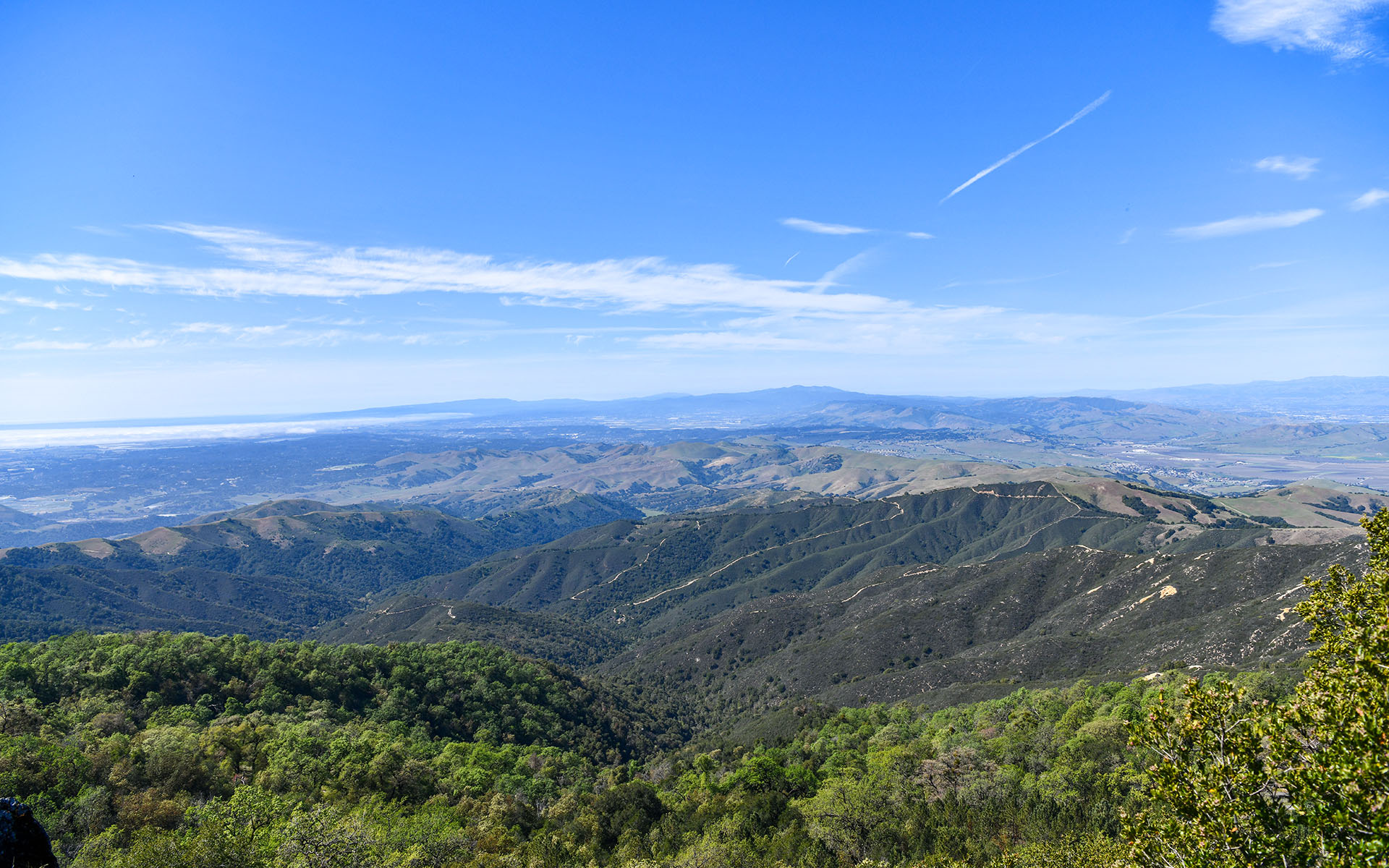 2022.03_Fremont-Peak_Fremont-Peak-State-Park_California_USA_06