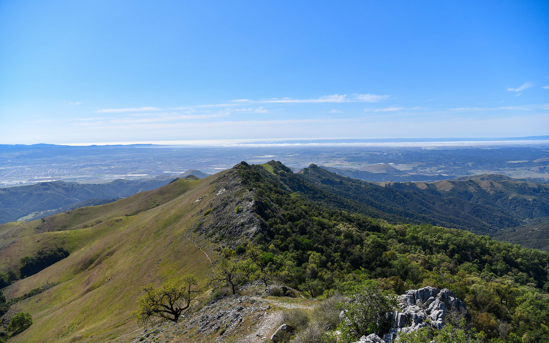 2022.03_Fremont-Peak_Fremont-Peak-State-Park_California_USA_08