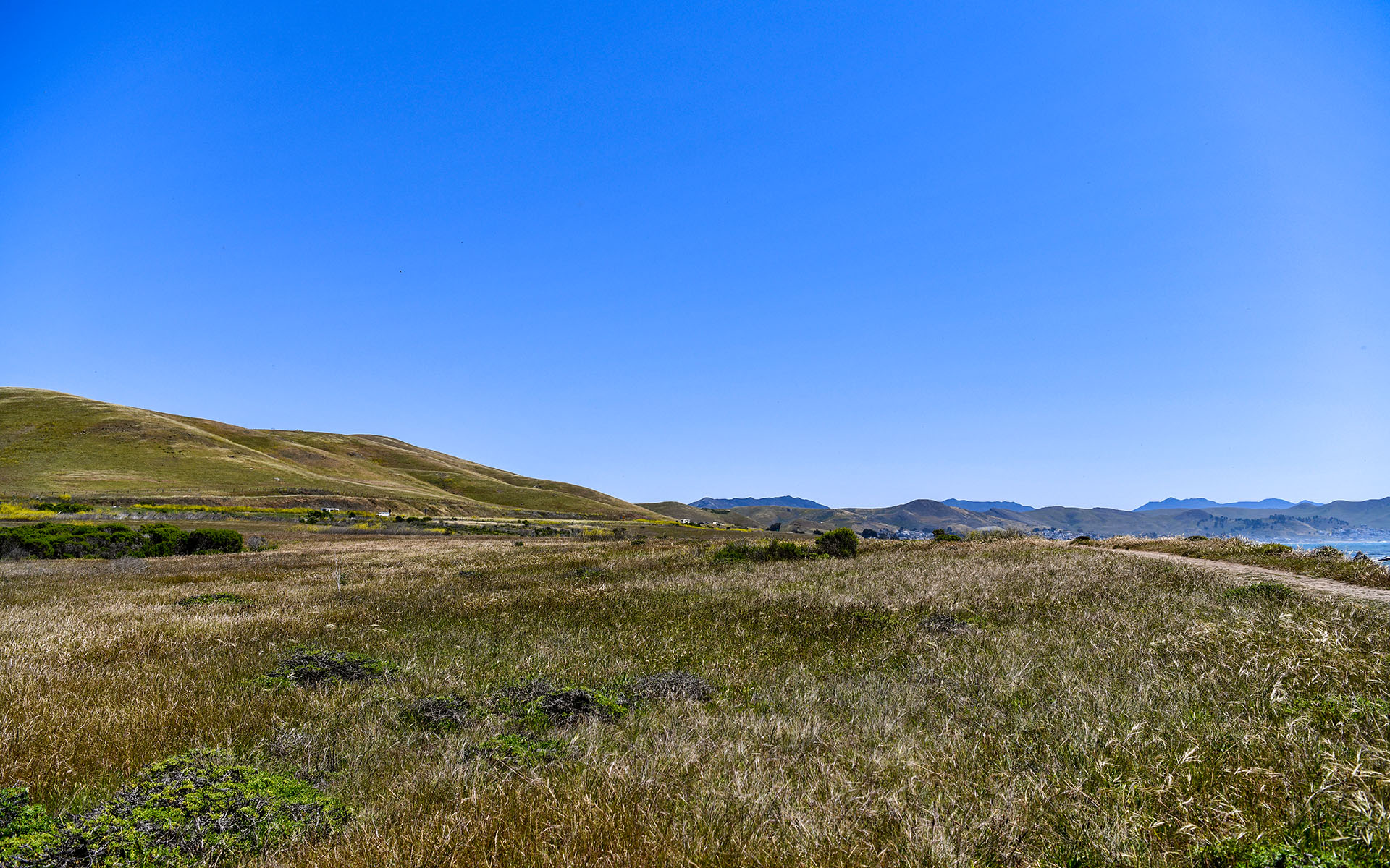 2022.04_Estero-Bluffs-State-Park_California_USA_01