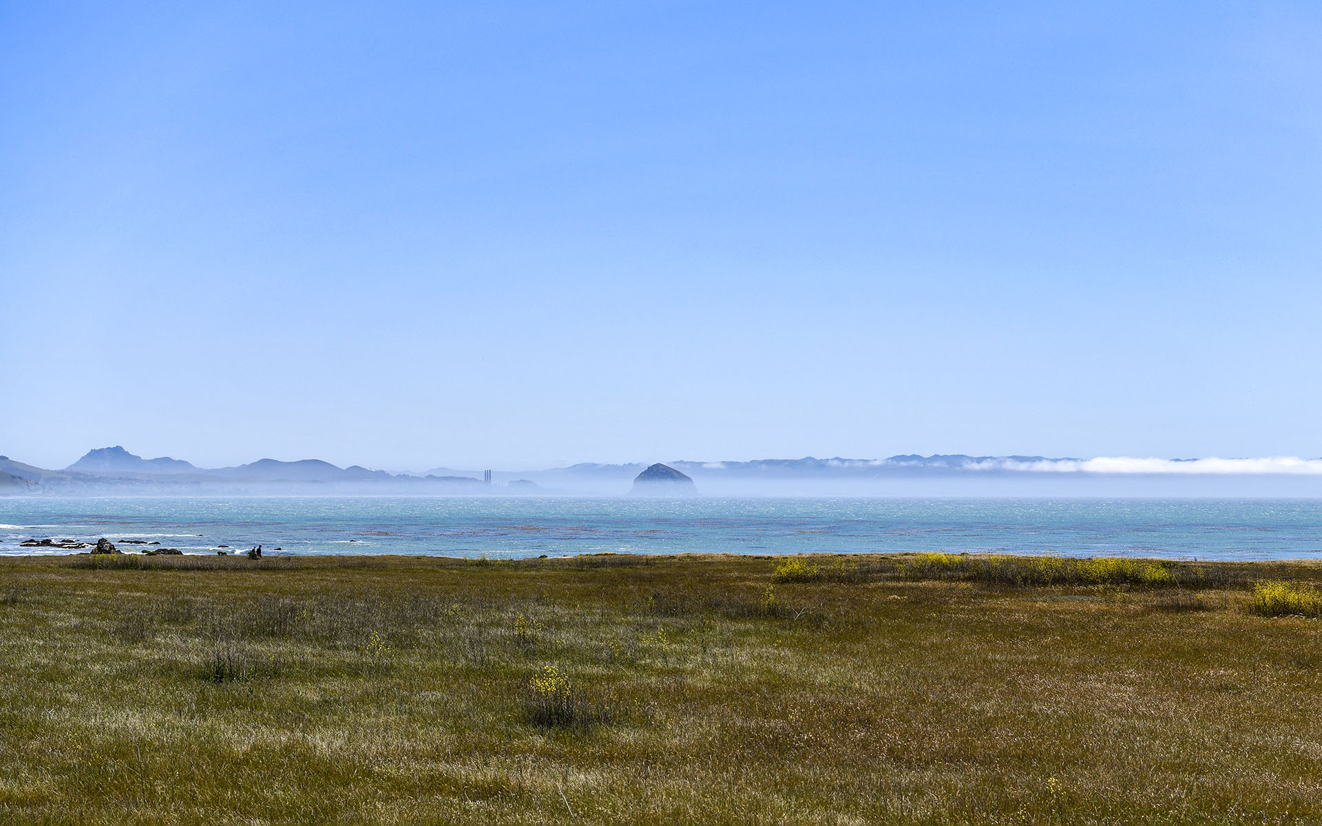 2022.04_Estero-Bluffs-State-Park_California_USA_02