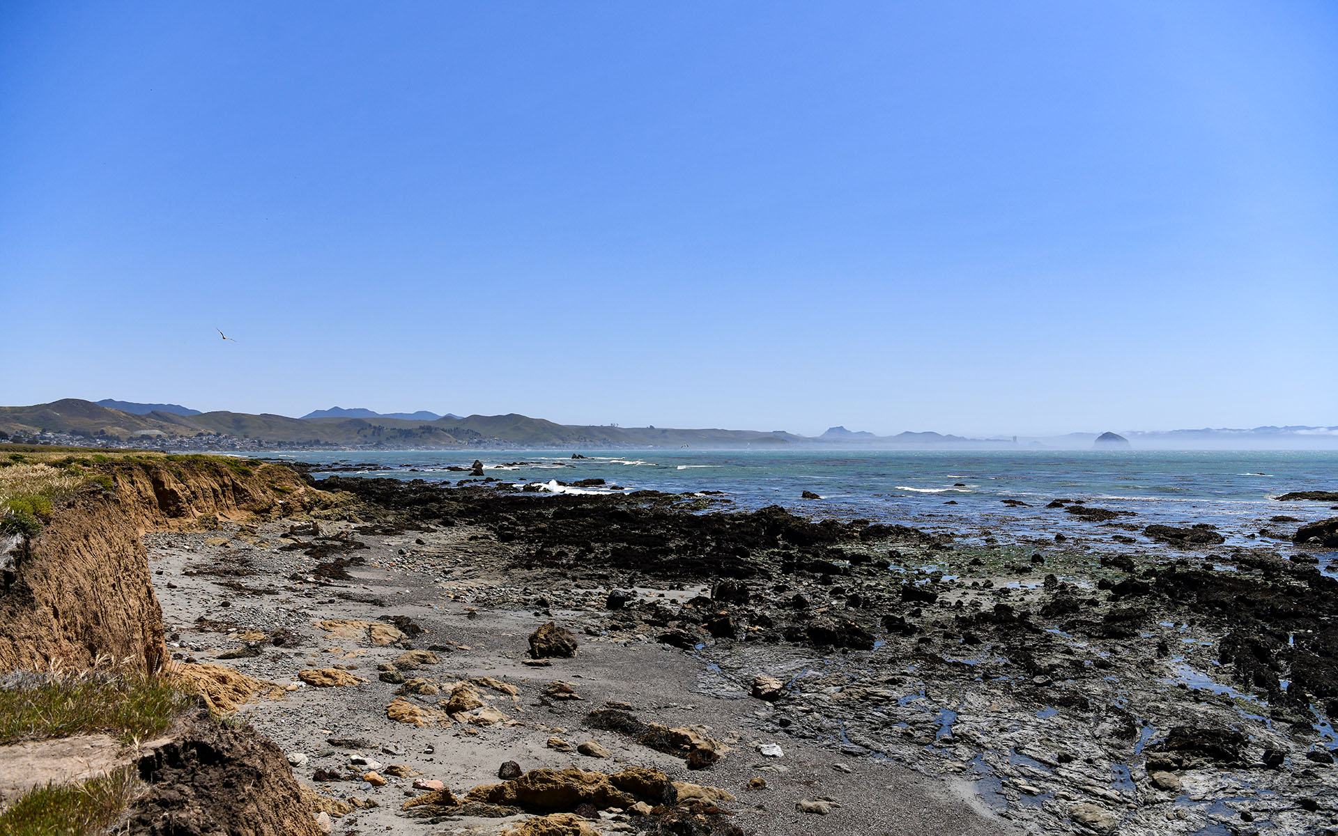 2022.04_Estero-Bluffs-State-Park_California_USA_03