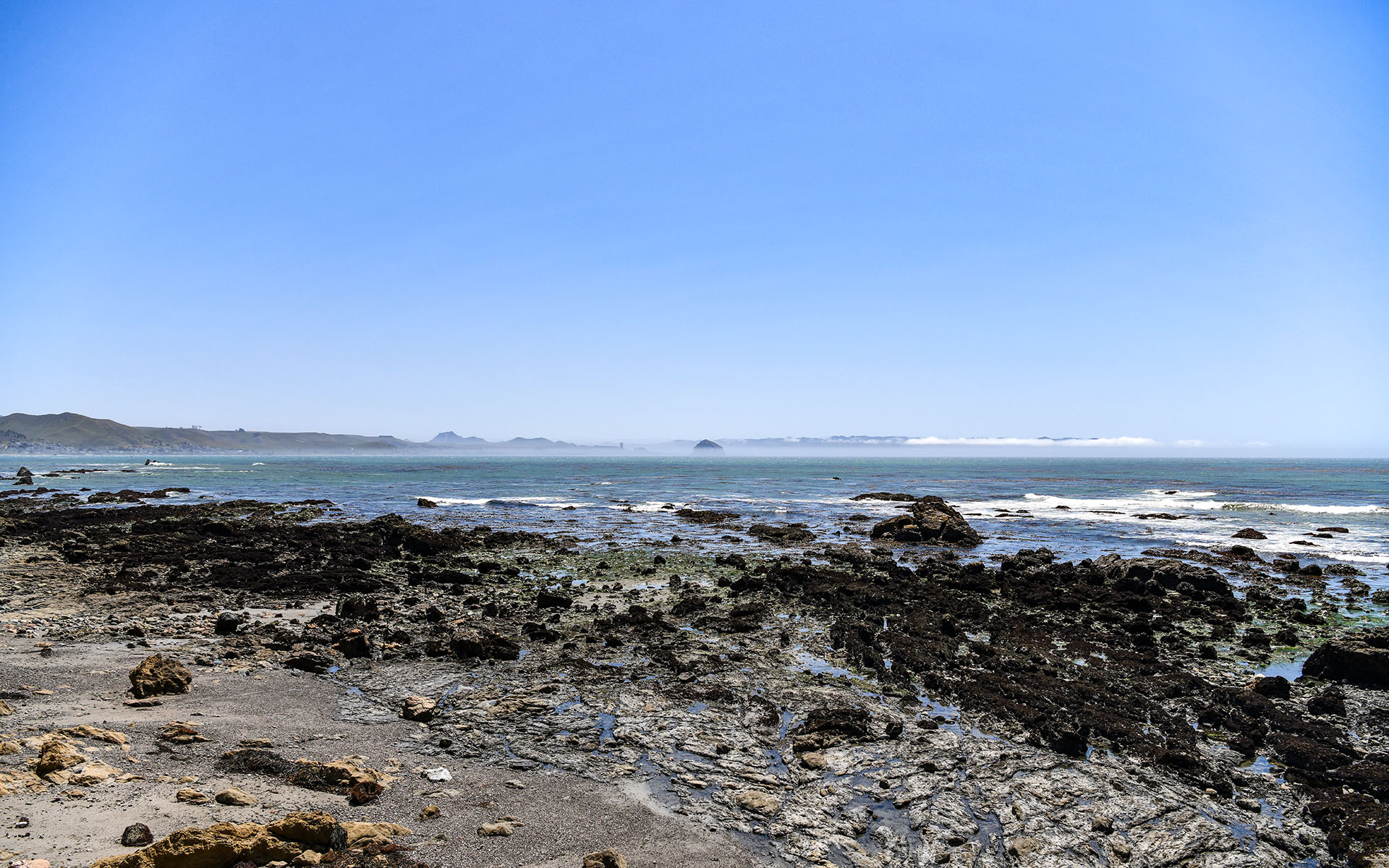 2022.04_Estero-Bluffs-State-Park_California_USA_04