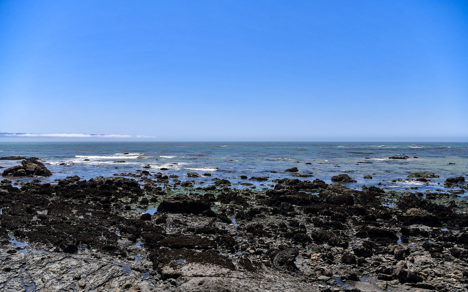 2022.04_Estero-Bluffs-State-Park_California_USA_05