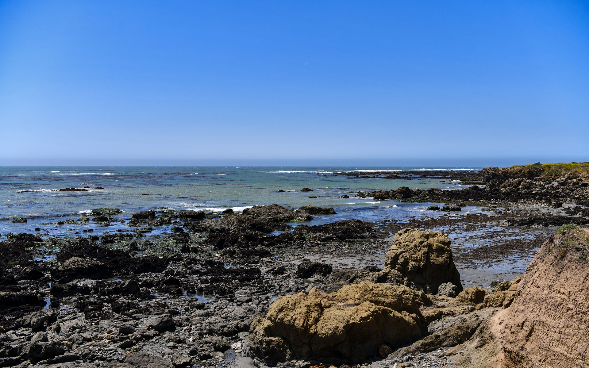 2022.04_Estero-Bluffs-State-Park_California_USA_06