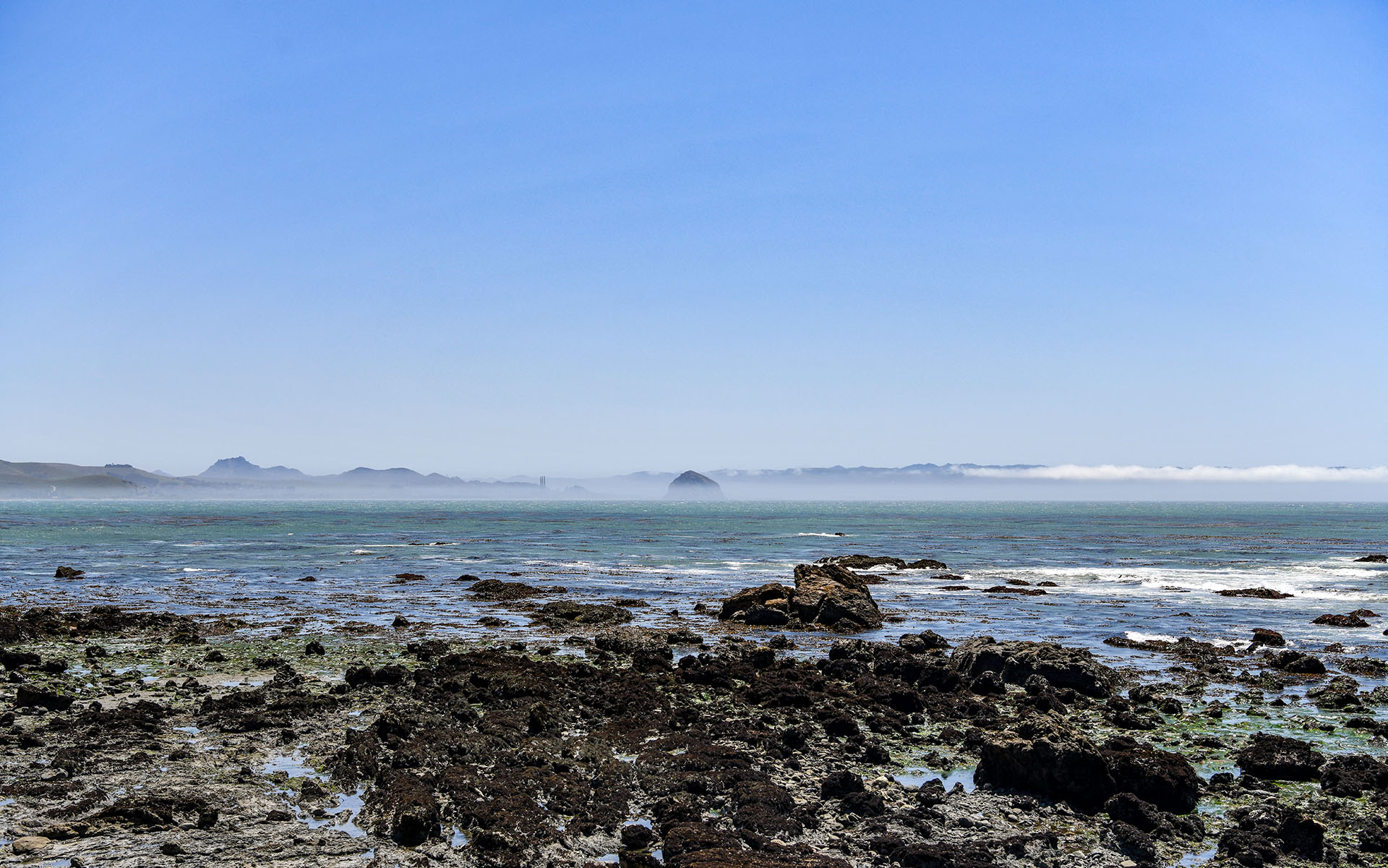 2022.04_Estero-Bluffs-State-Park_California_USA_07