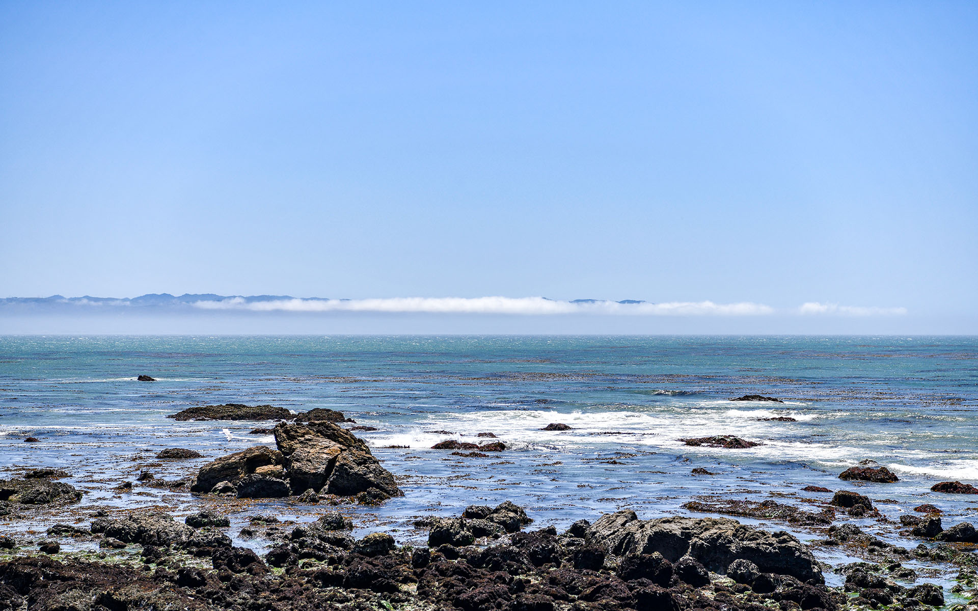 2022.04_Estero-Bluffs-State-Park_California_USA_09